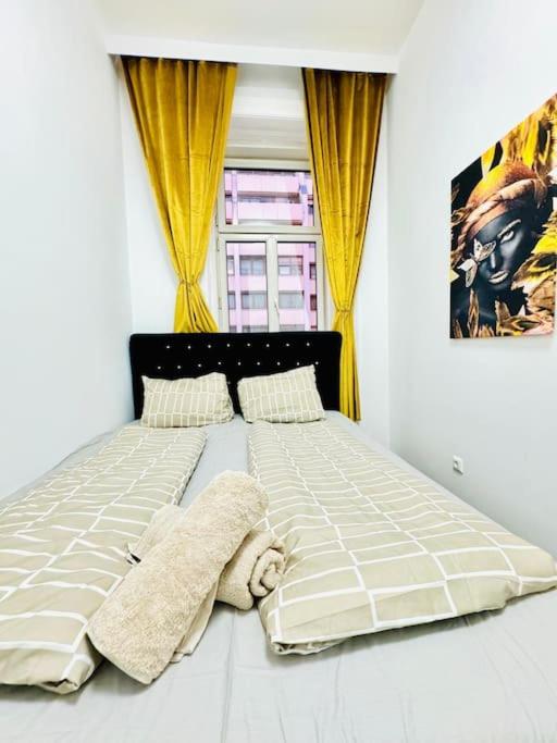 Cozy 9BR Apartment for 18 Near Augarten