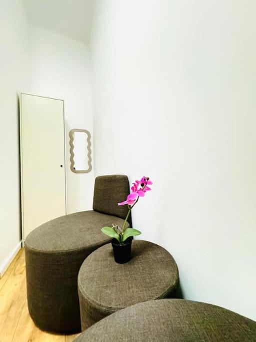 Cozy 9BR Apartment for 18 Near Augarten