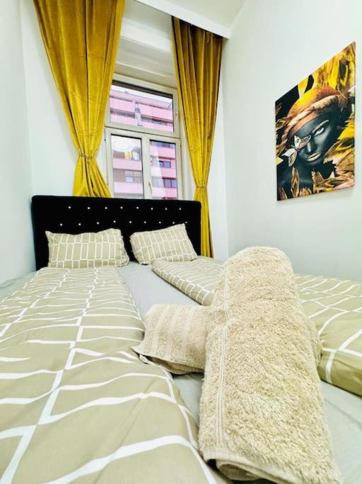 Cozy 9BR Apartment for 18 Near Augarten