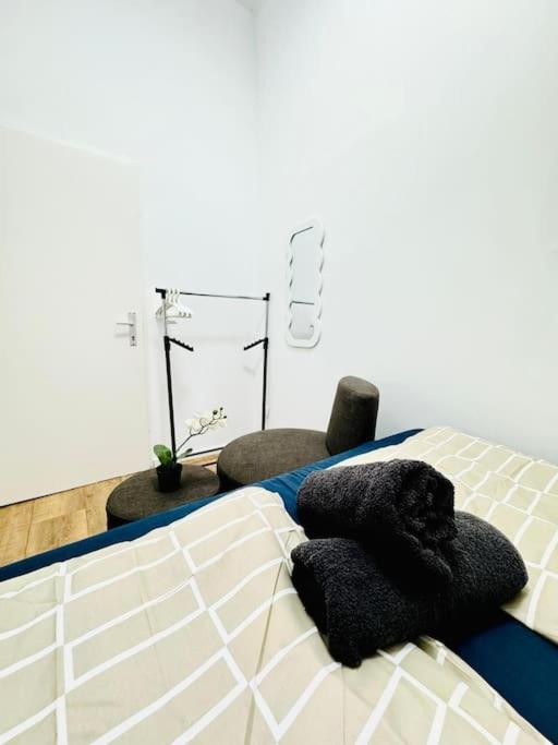 Cozy 9BR Apartment for 18 Near Augarten