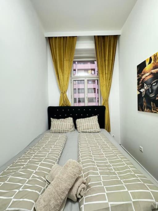 Cozy 9BR Apartment for 18 Near Augarten