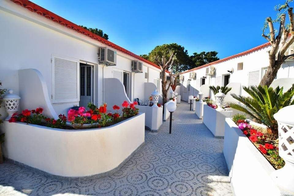 Junior Hotel Village