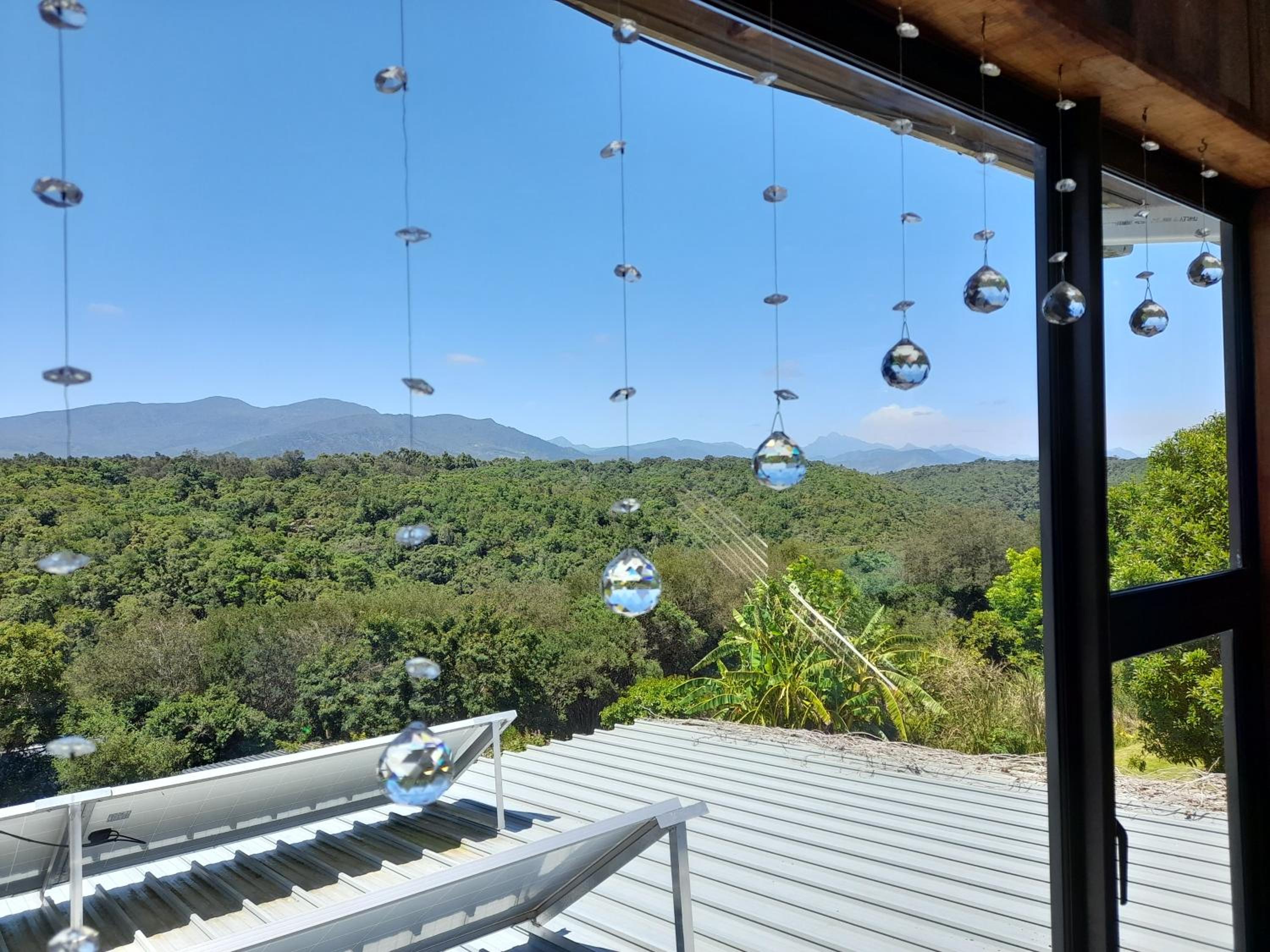 Butterfly House