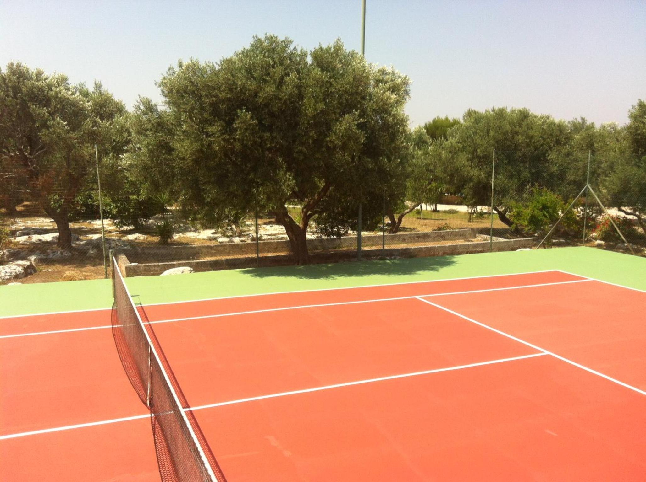 Photo 45