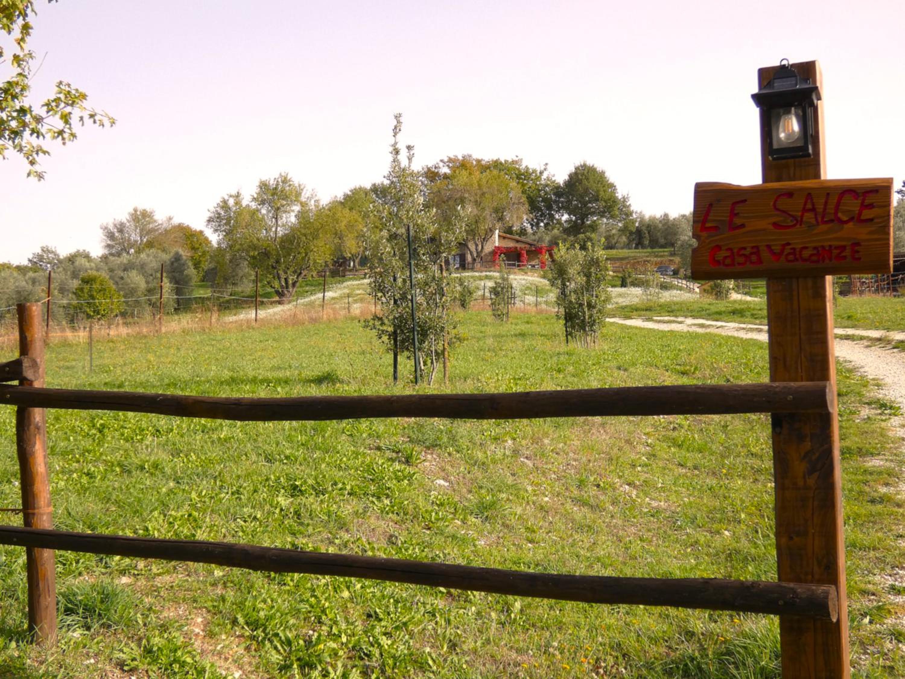 Photo 31