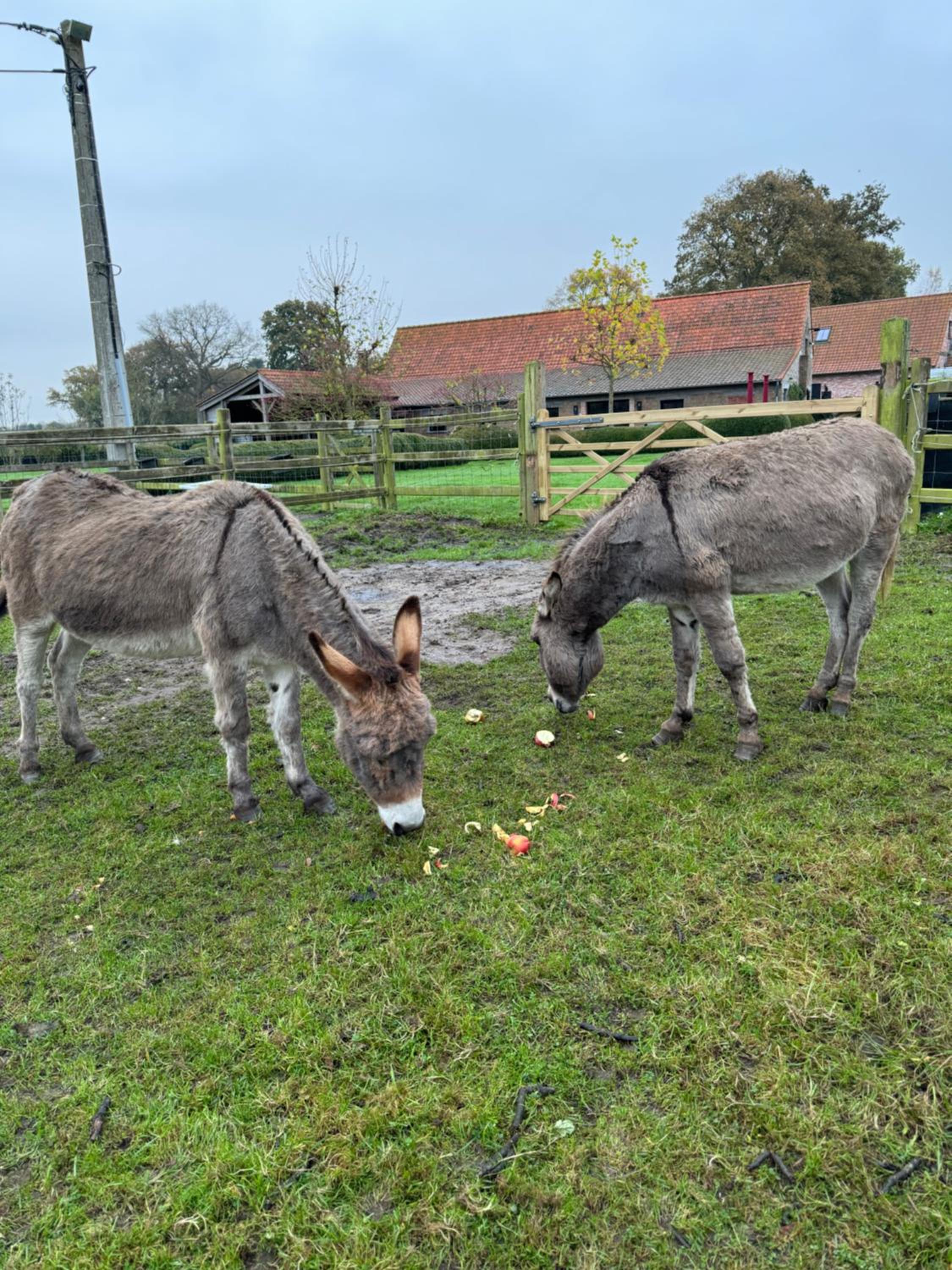 Hoeve Chartreuse