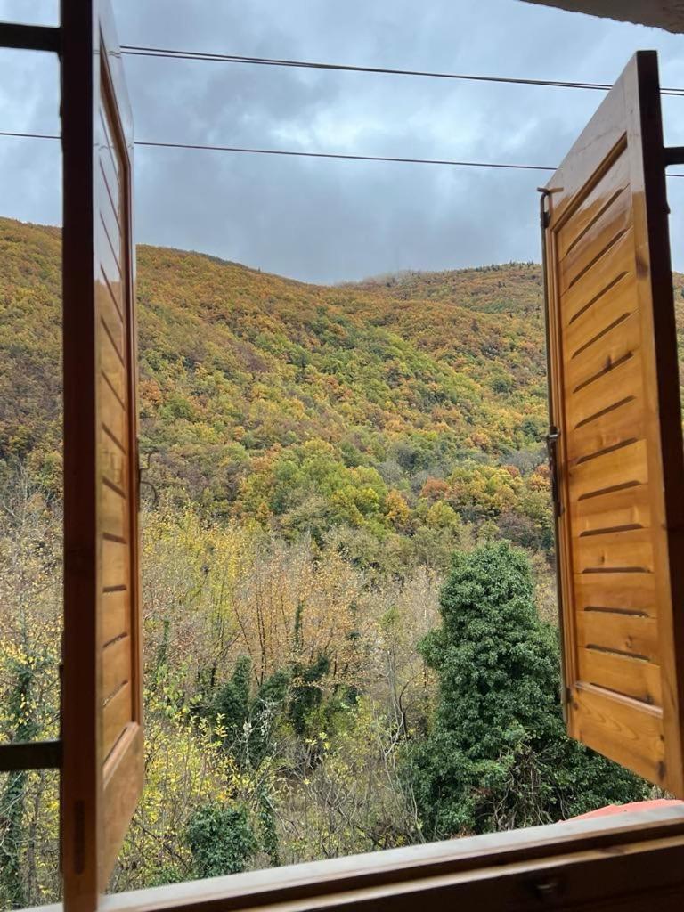 Forest view Aggeliki