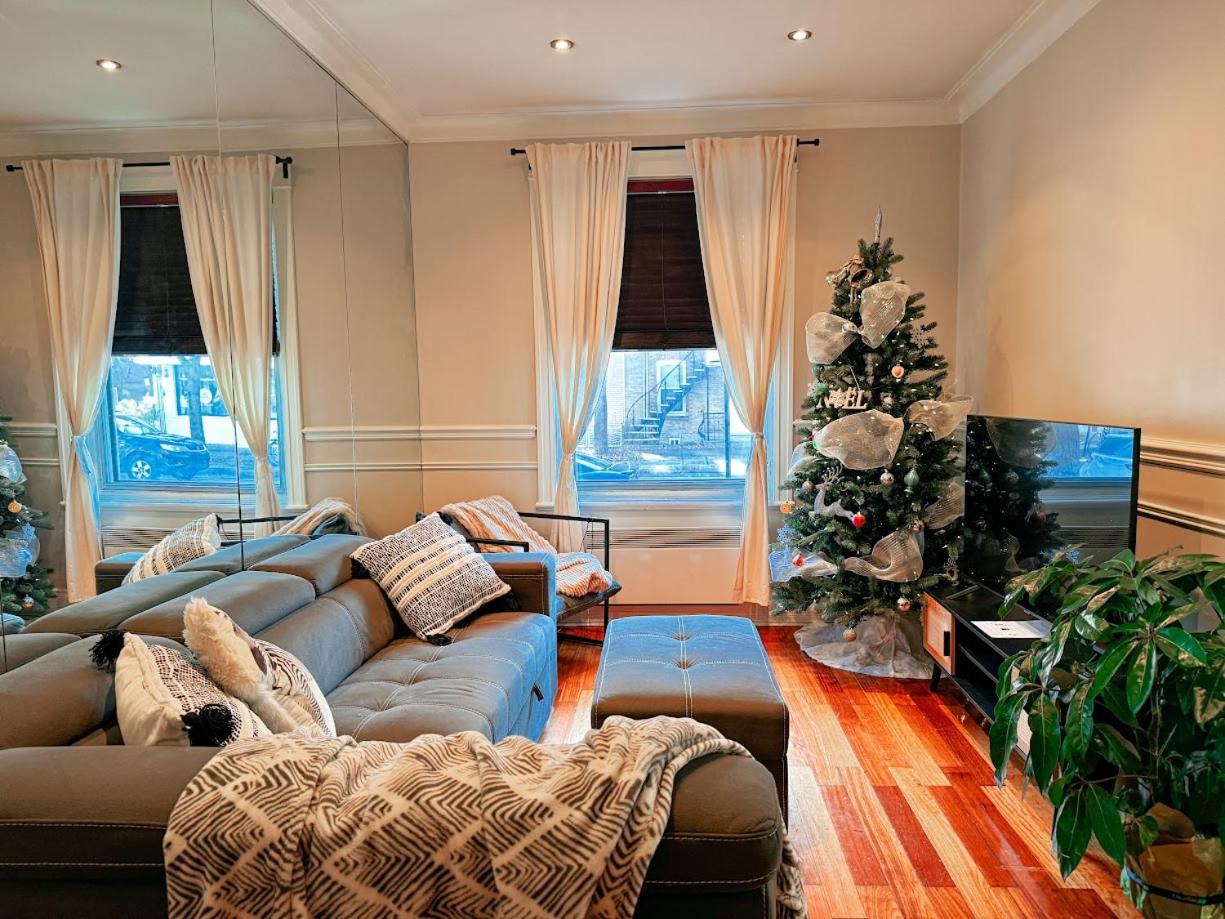 Spacious APT Little Italy, 1 king BR, 3beds, yard