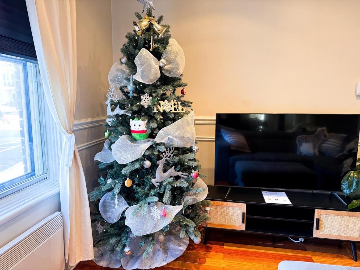 Spacious APT Little Italy, 1 king BR, 3beds, yard