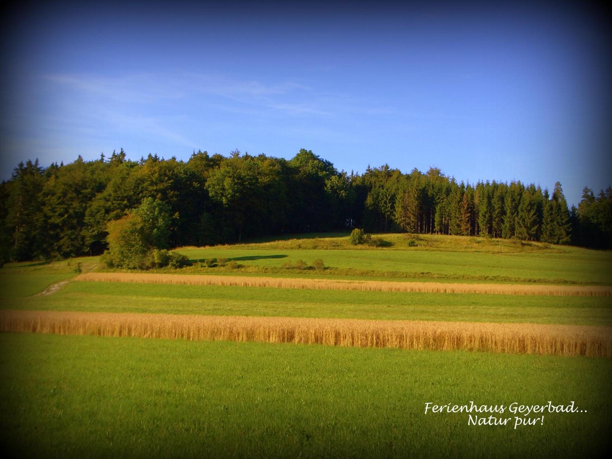 Ferienhaus Eichenstein - beim Ferienhaus Geyerbad