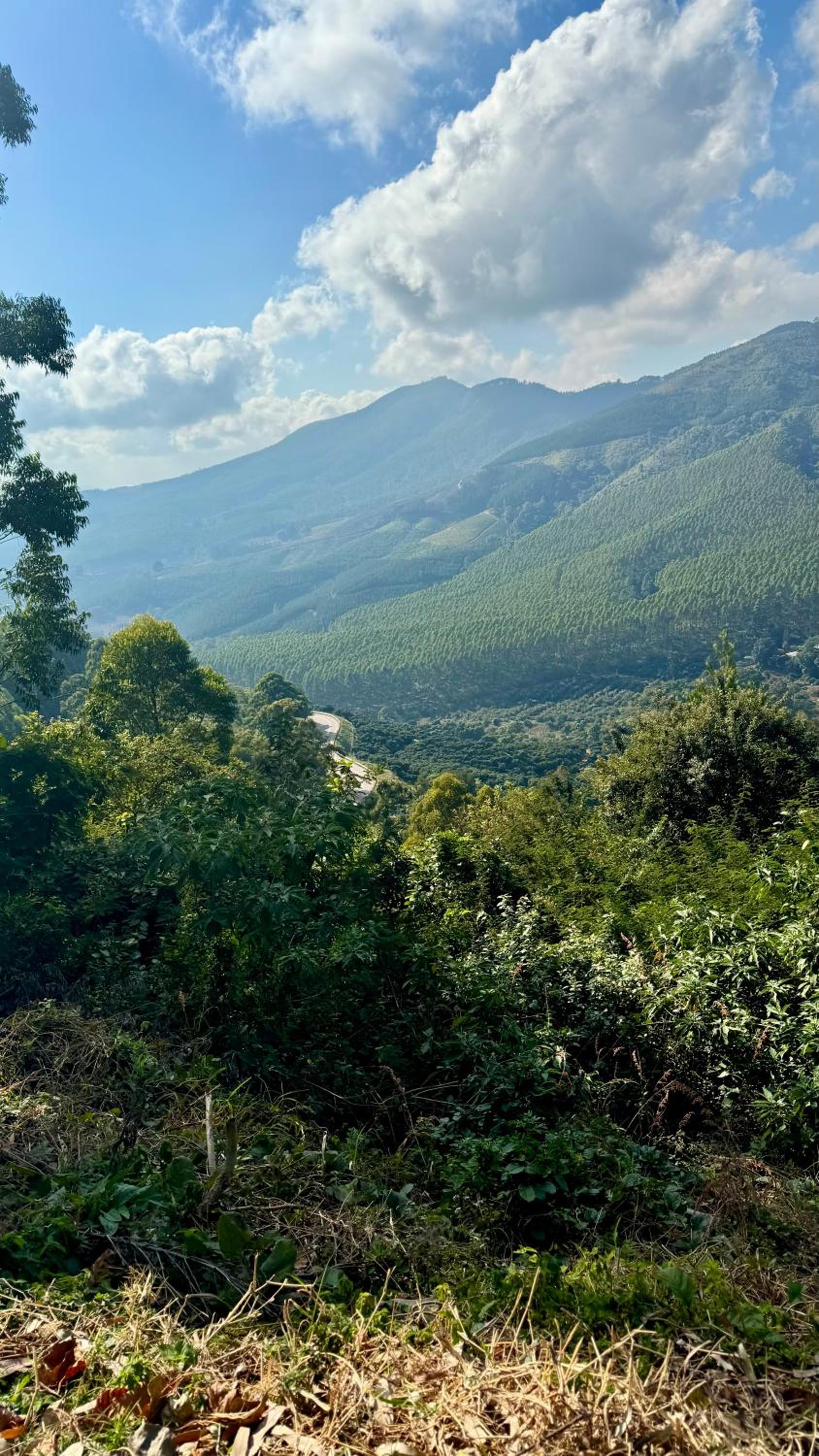 Magoebaskloof Mountain Lodge