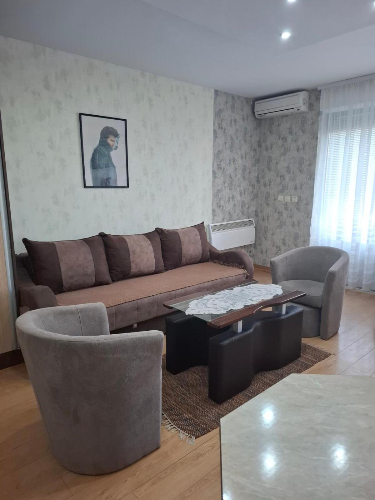 Apartman NIKOLIJA Vrnjačka Banja view 3