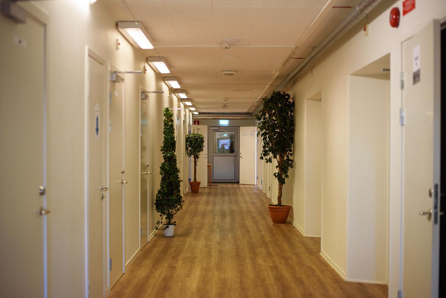 Photo 16