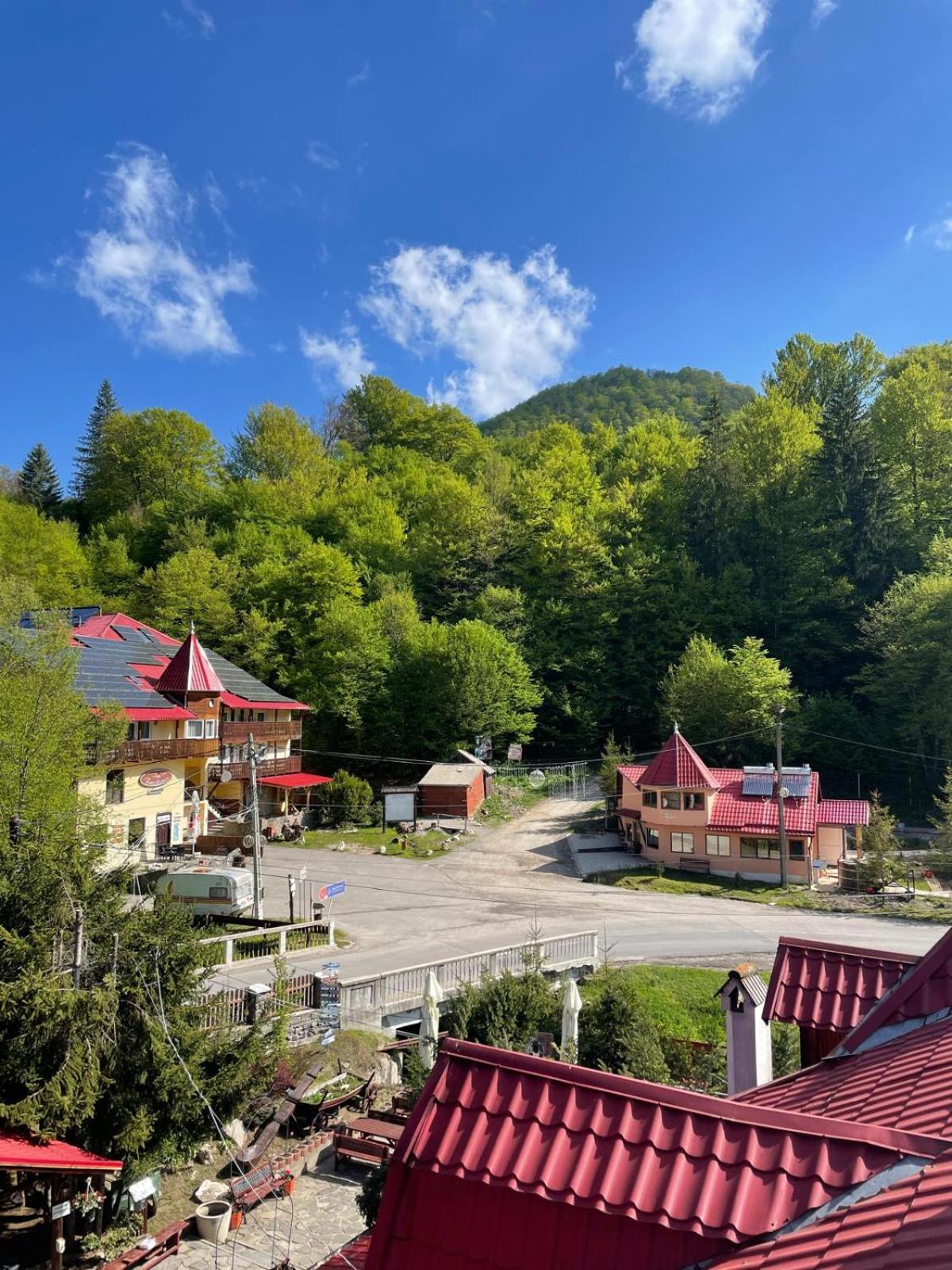 Pensiunea Cetate view 4