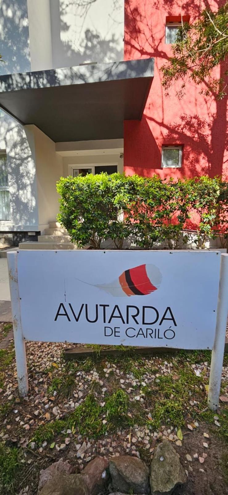 Avutarda de Carilo