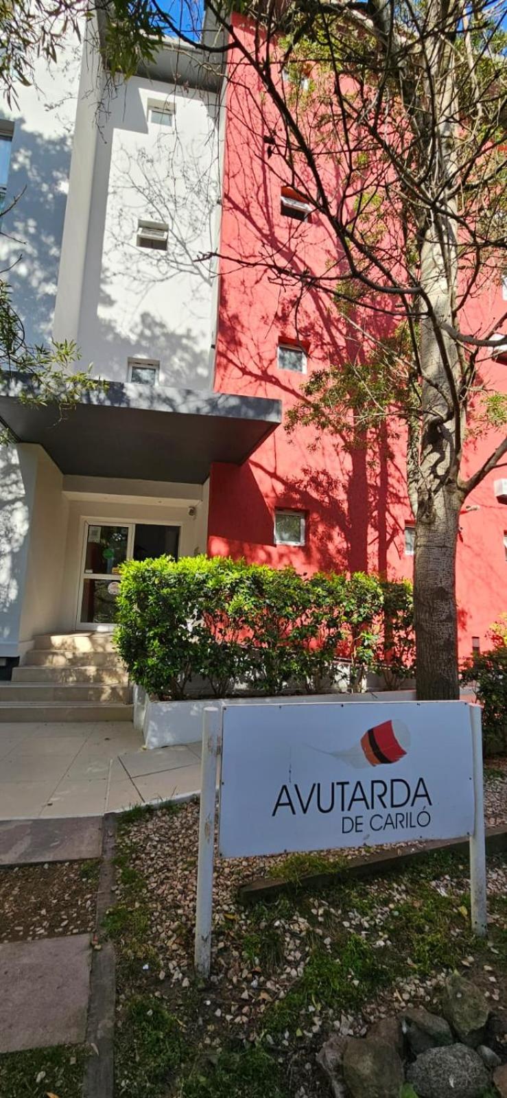 Avutarda de Carilo