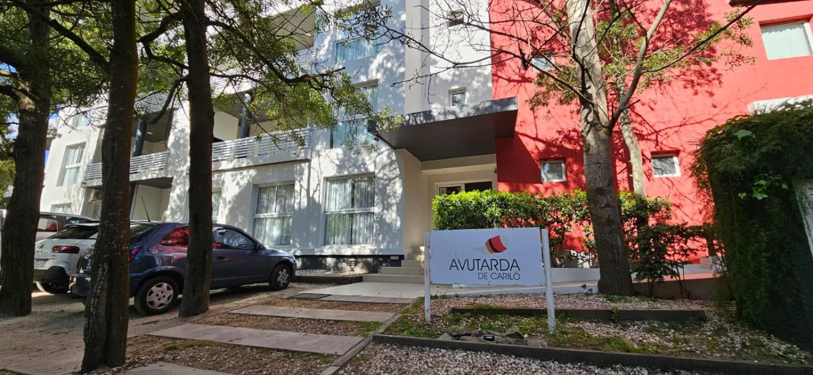 Avutarda de Carilo