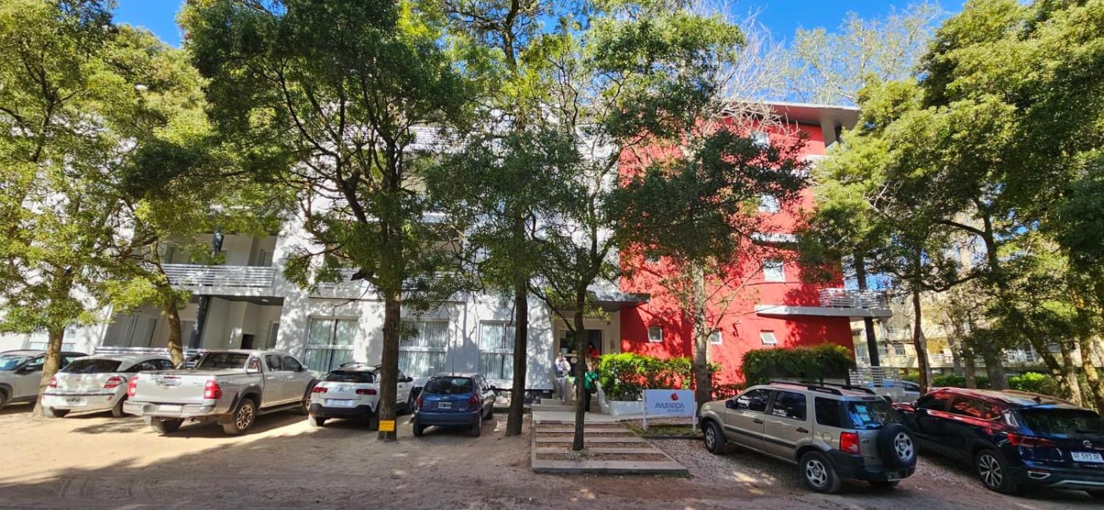 Avutarda de Carilo