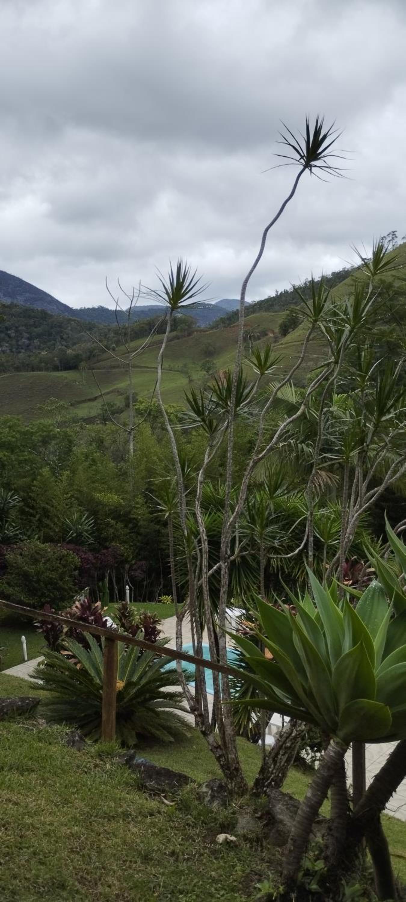 JARDIM REAL - Chalés para casais