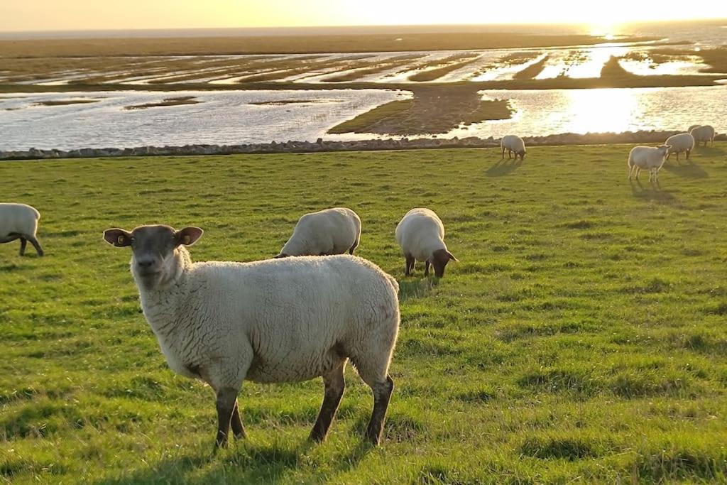 Ferienwohnung Deichkate - Auszeit an der Nordsee