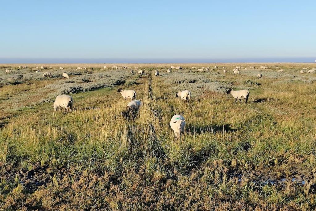 Ferienwohnung Deichkate - Auszeit an der Nordsee