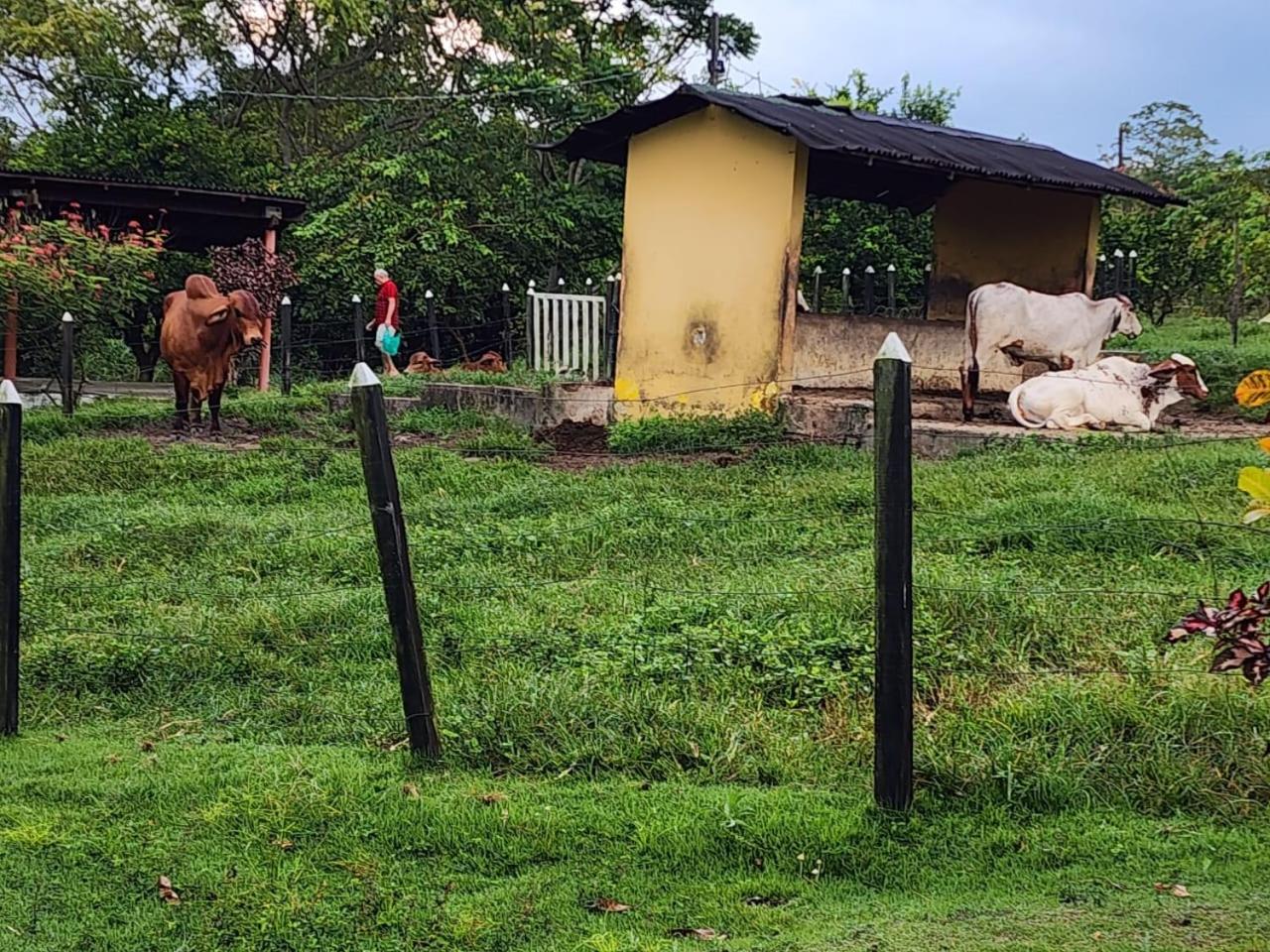 Casa em Jacumã