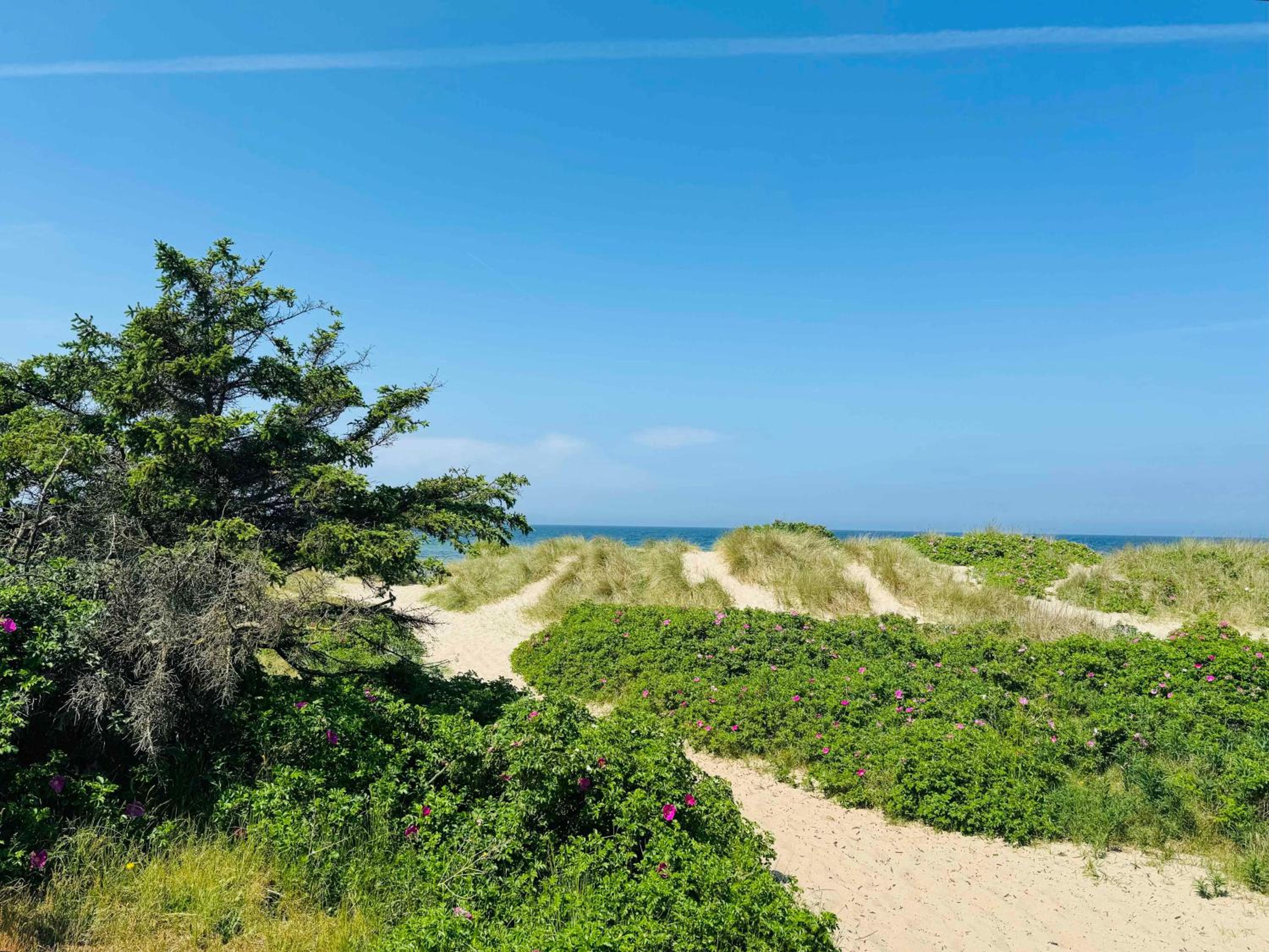 Experience Real Summer Idyll At Drageholmen 3