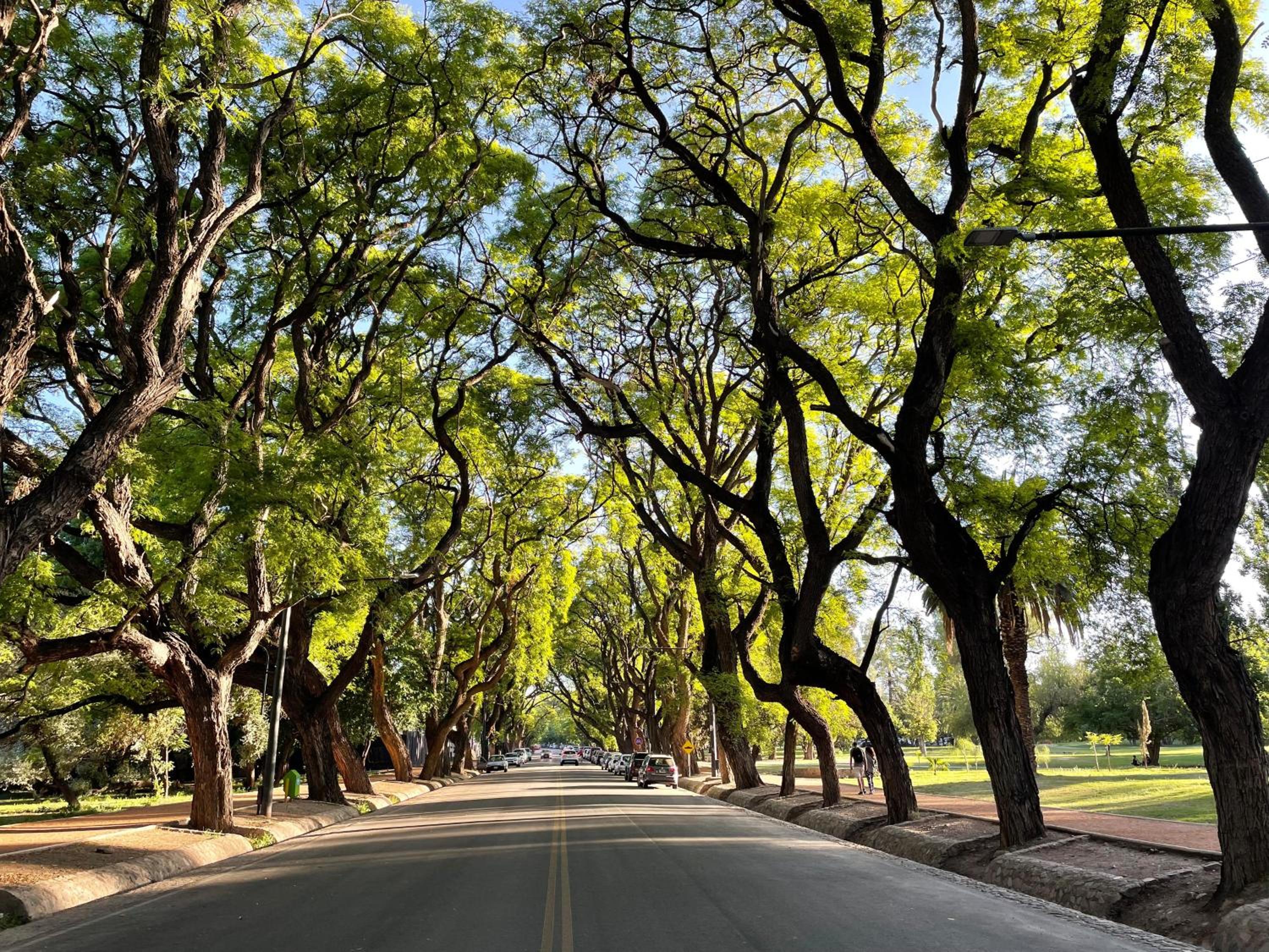 Depto con Terraza en el Centro de Mendoza, cerca del Parque San Martín y Av Arístides
