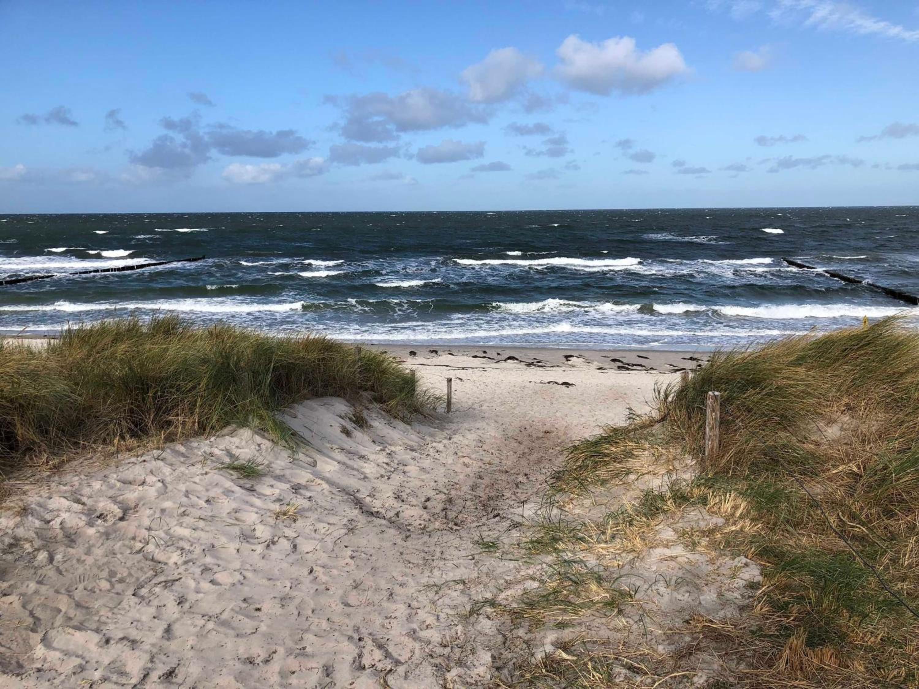 Strandwohnung direkt am Meer - Whg 31