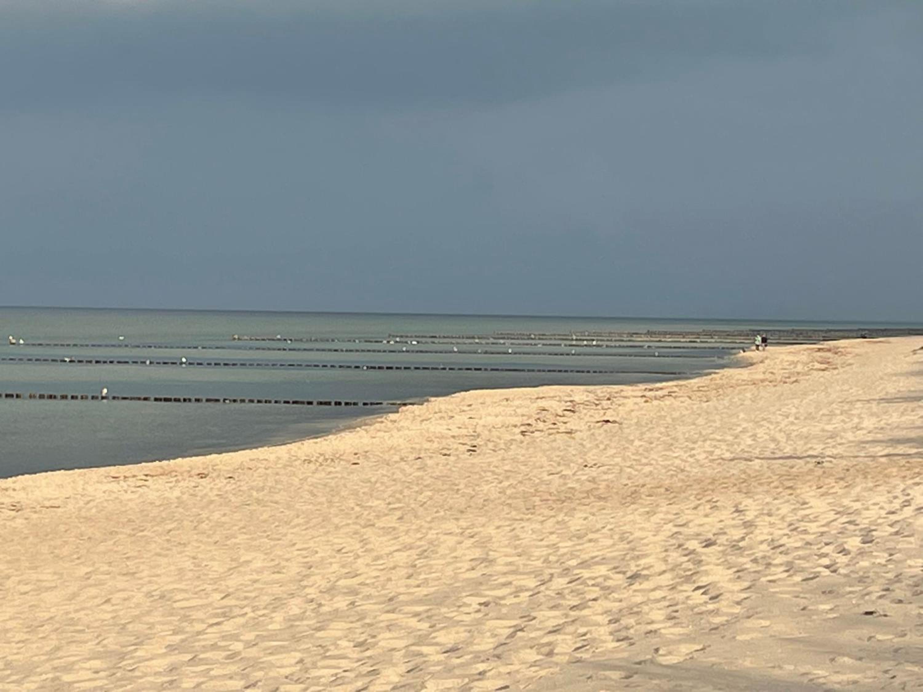 Strandwohnung direkt am Meer - Whg 31