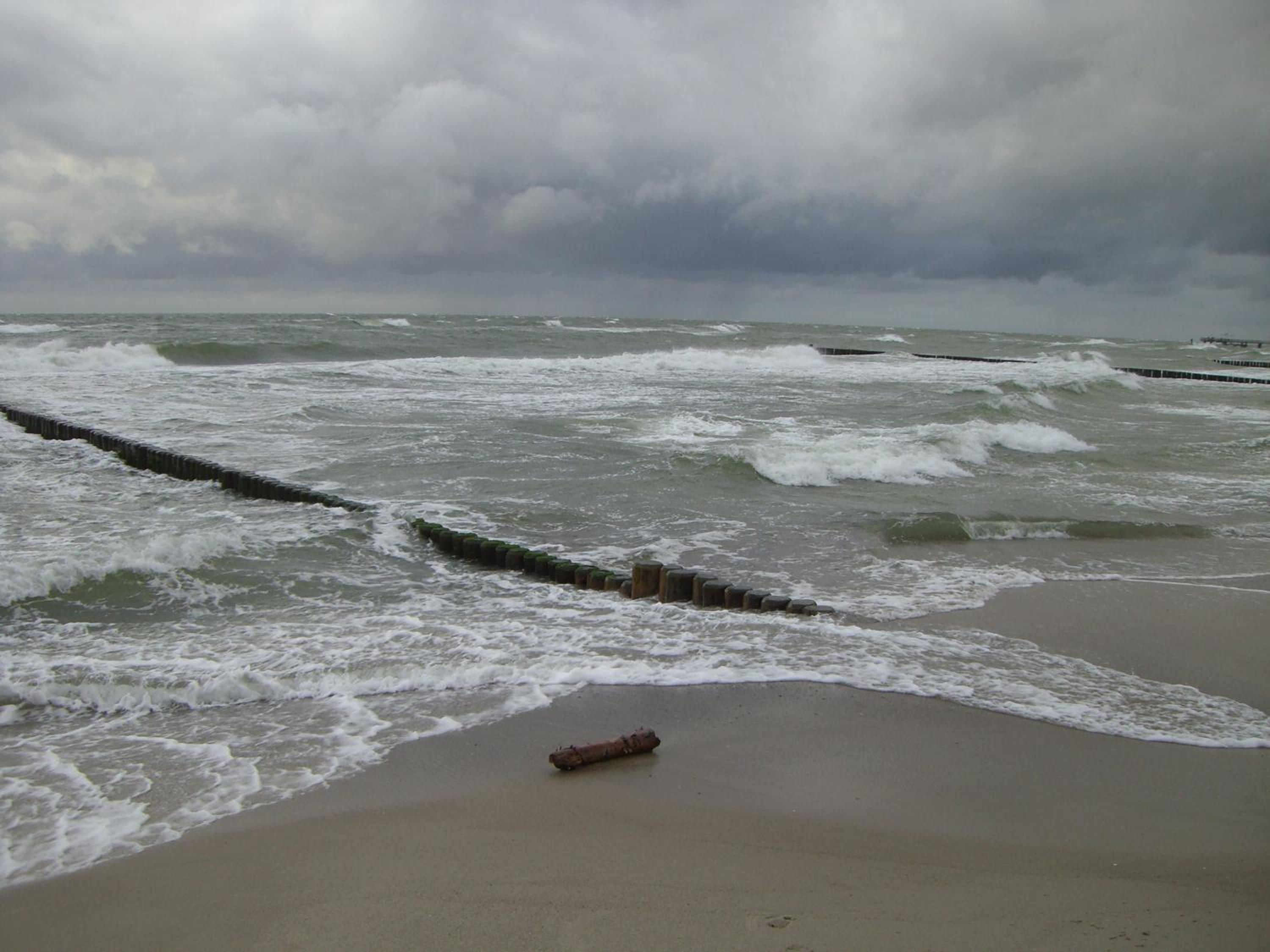 Strandwohnung direkt am Meer - Whg 31