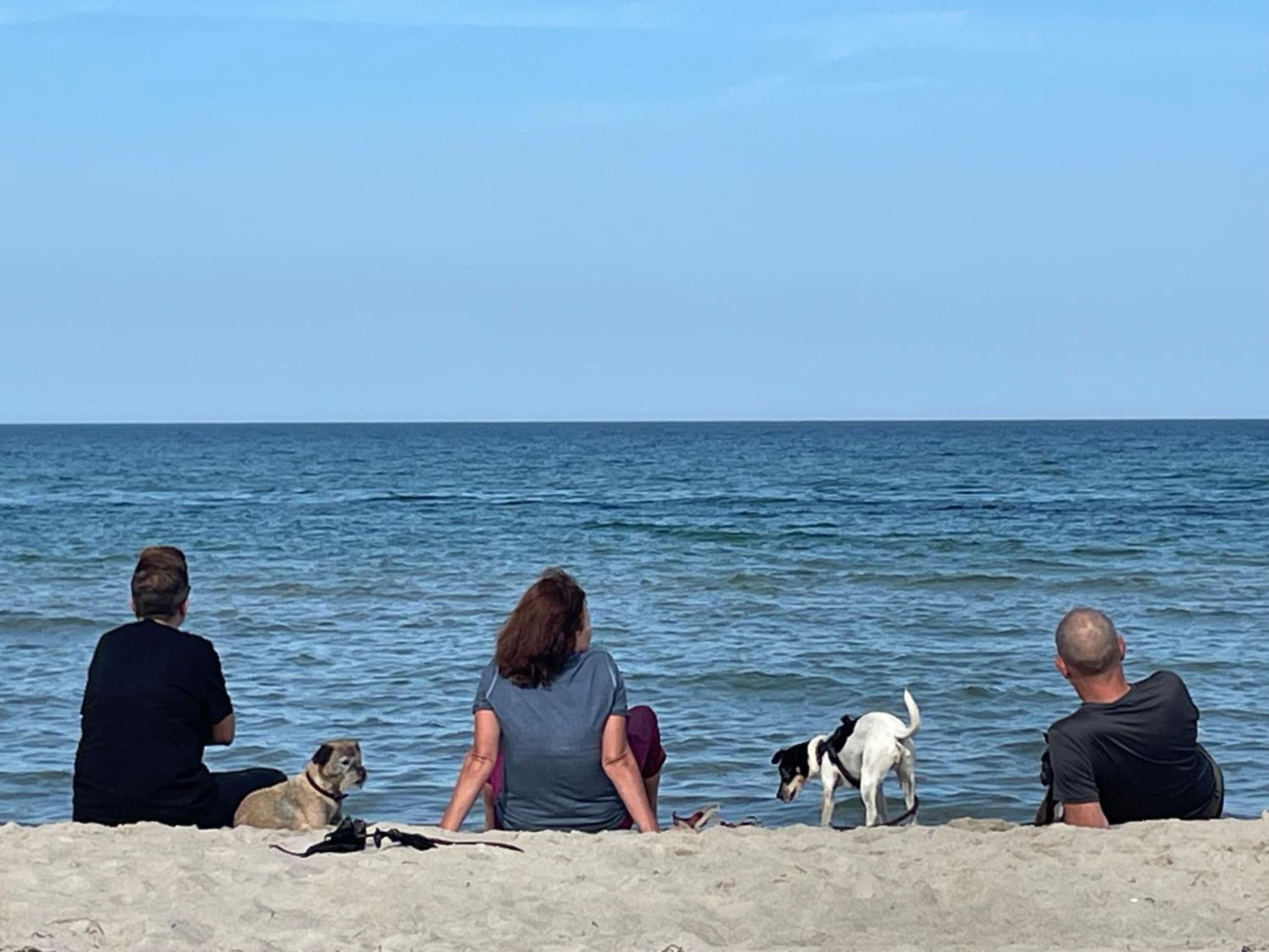 Strandwohnung direkt am Meer - Whg 33