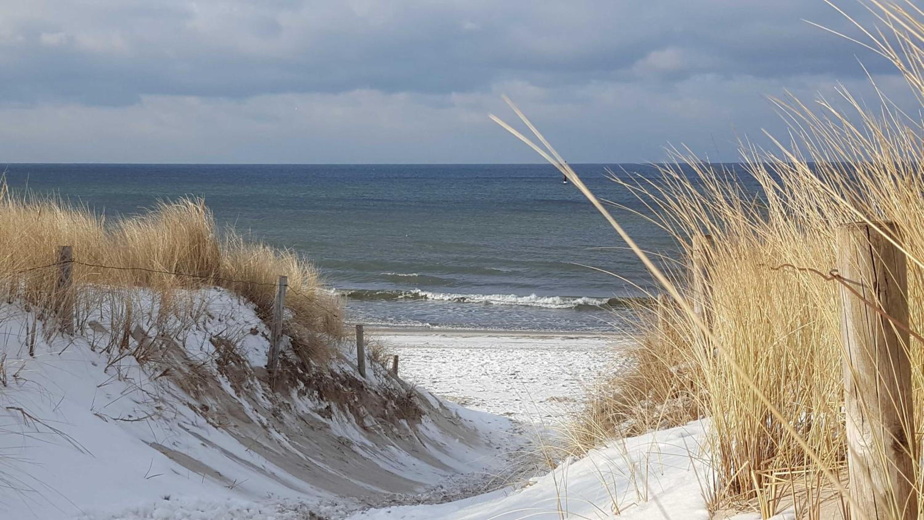 Strandwohnung direkt am Meer - Whg 33