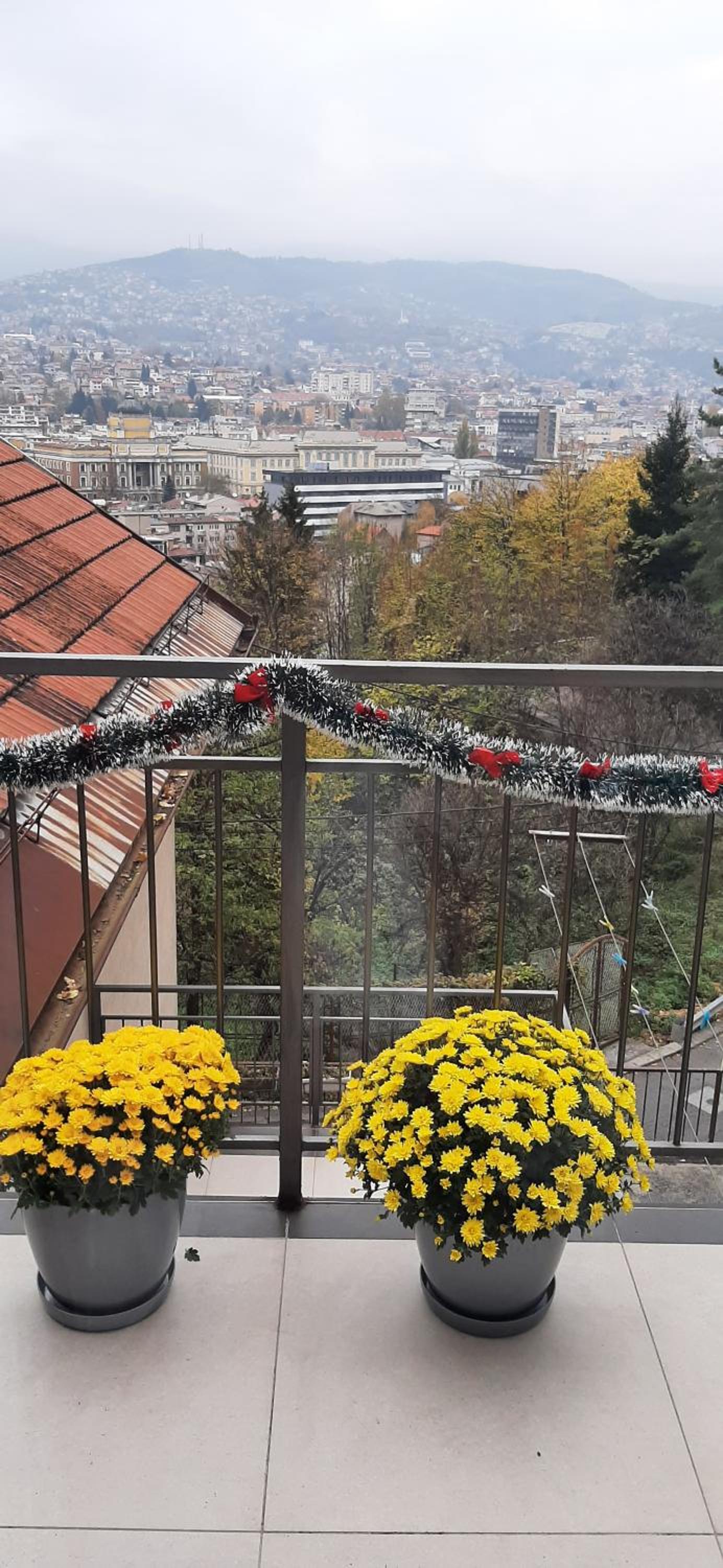 Plavo oko