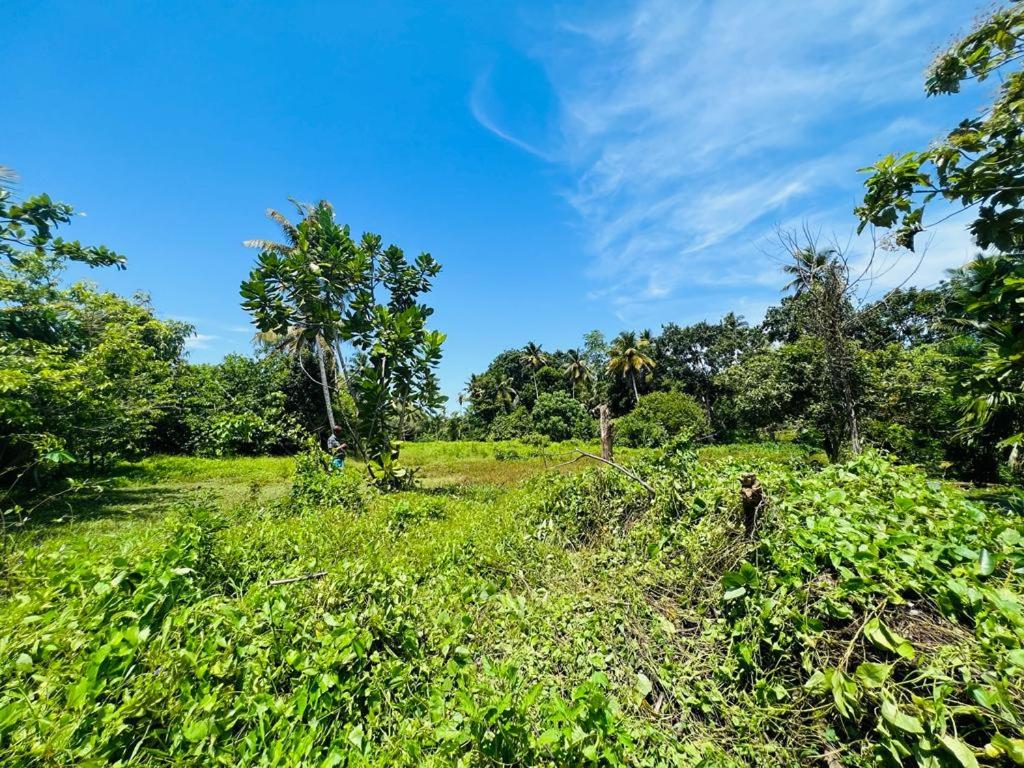 Green Royal Villa Ahangama view 2