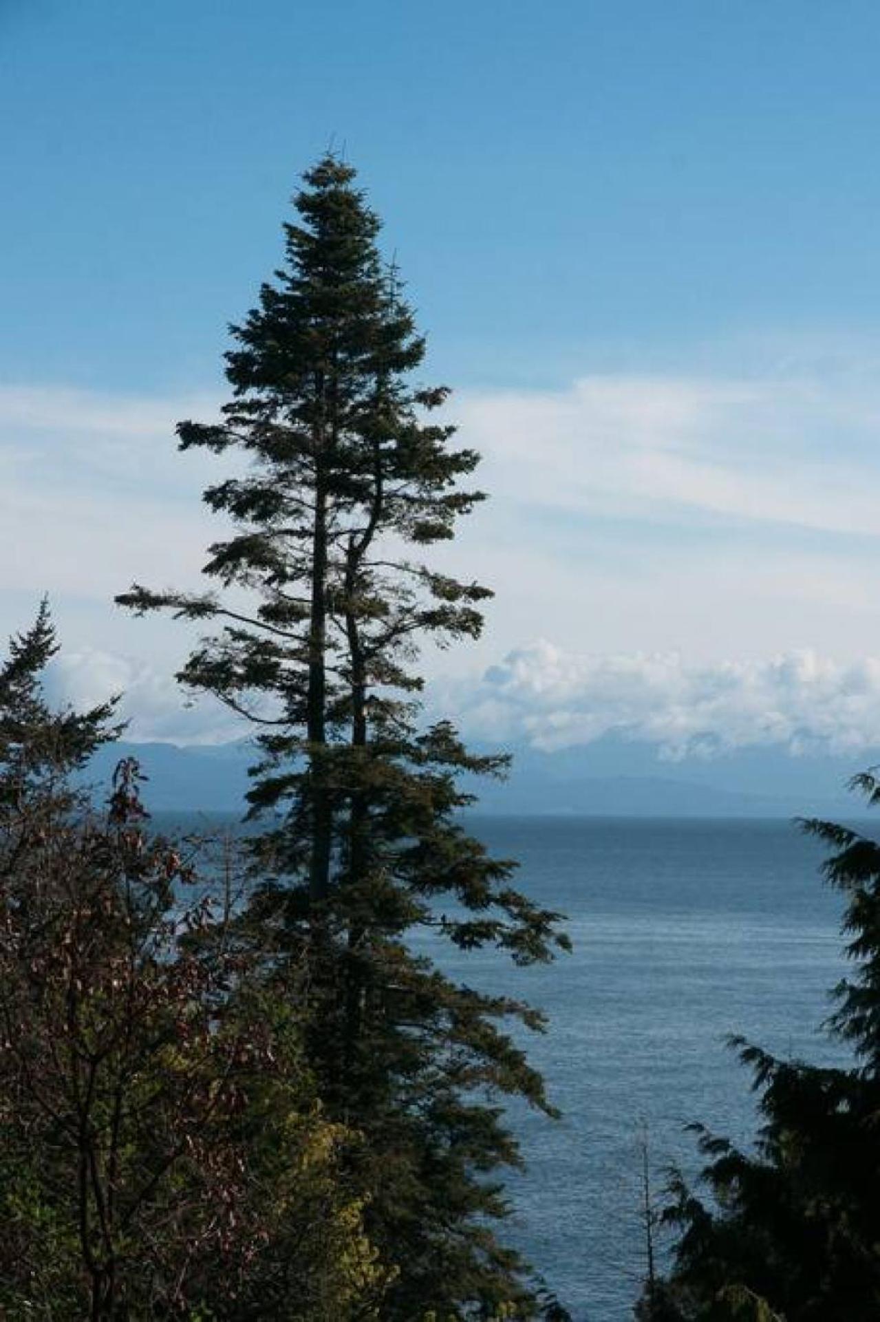 Oceanview Guest Suite with Large 2 Person Soaker Tub
