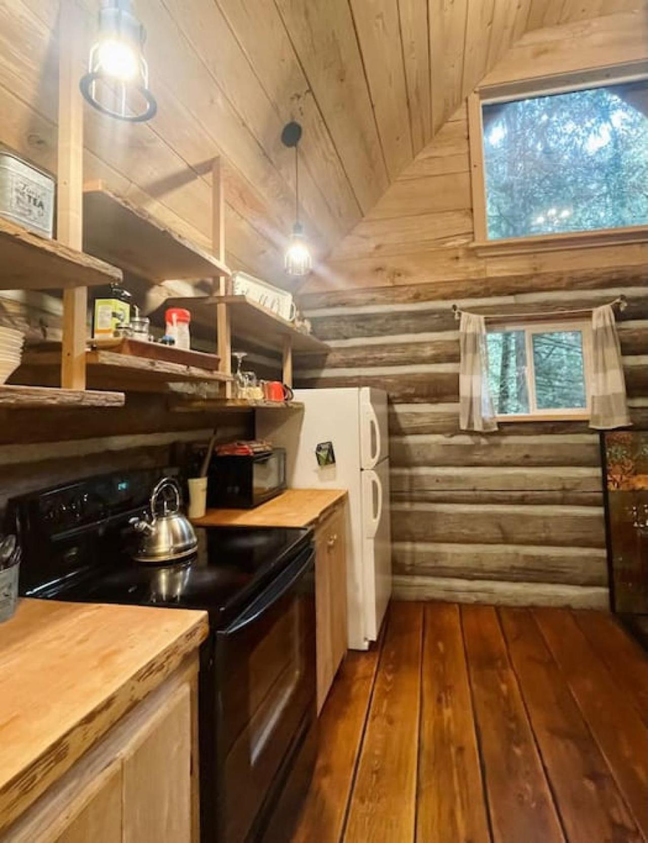 Slow-Go Log Cabin with Cozy Woodstove and Sauna