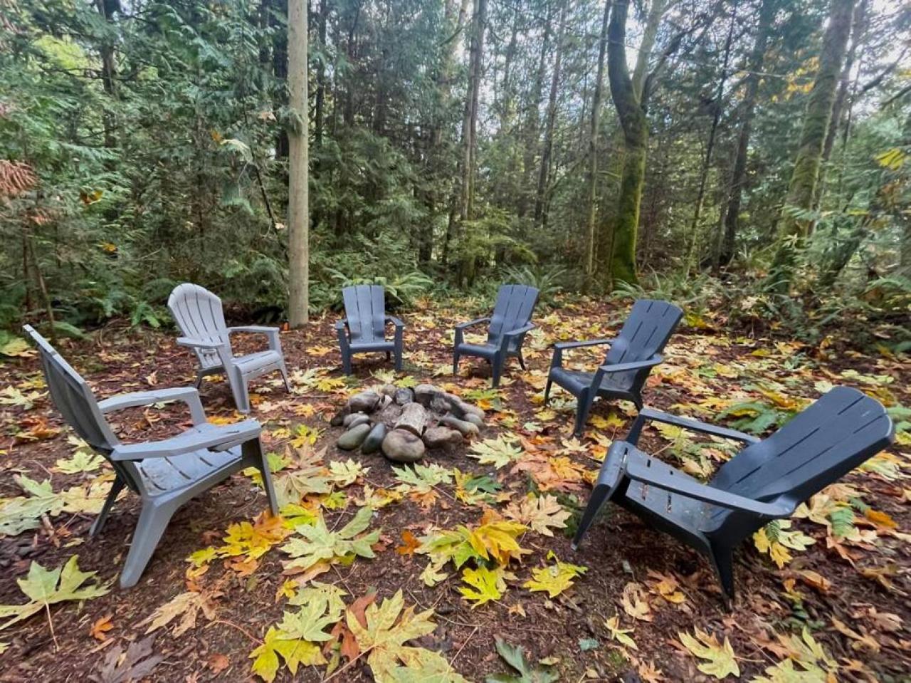 Slow-Go Log Cabin with Cozy Woodstove and Sauna