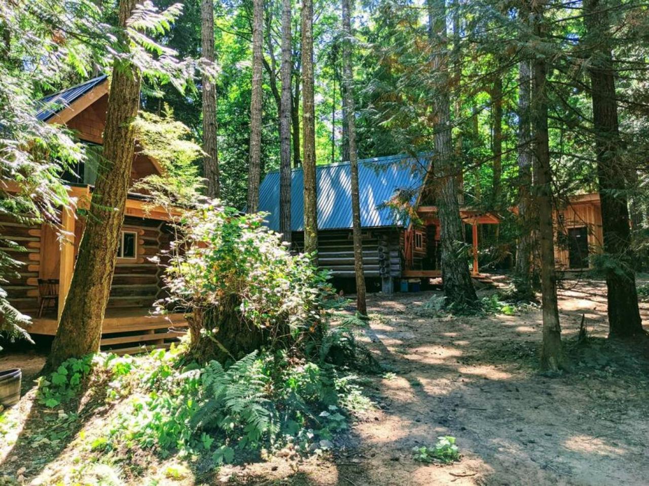 Slow-Go Log Cabin with Cozy Woodstove and Sauna