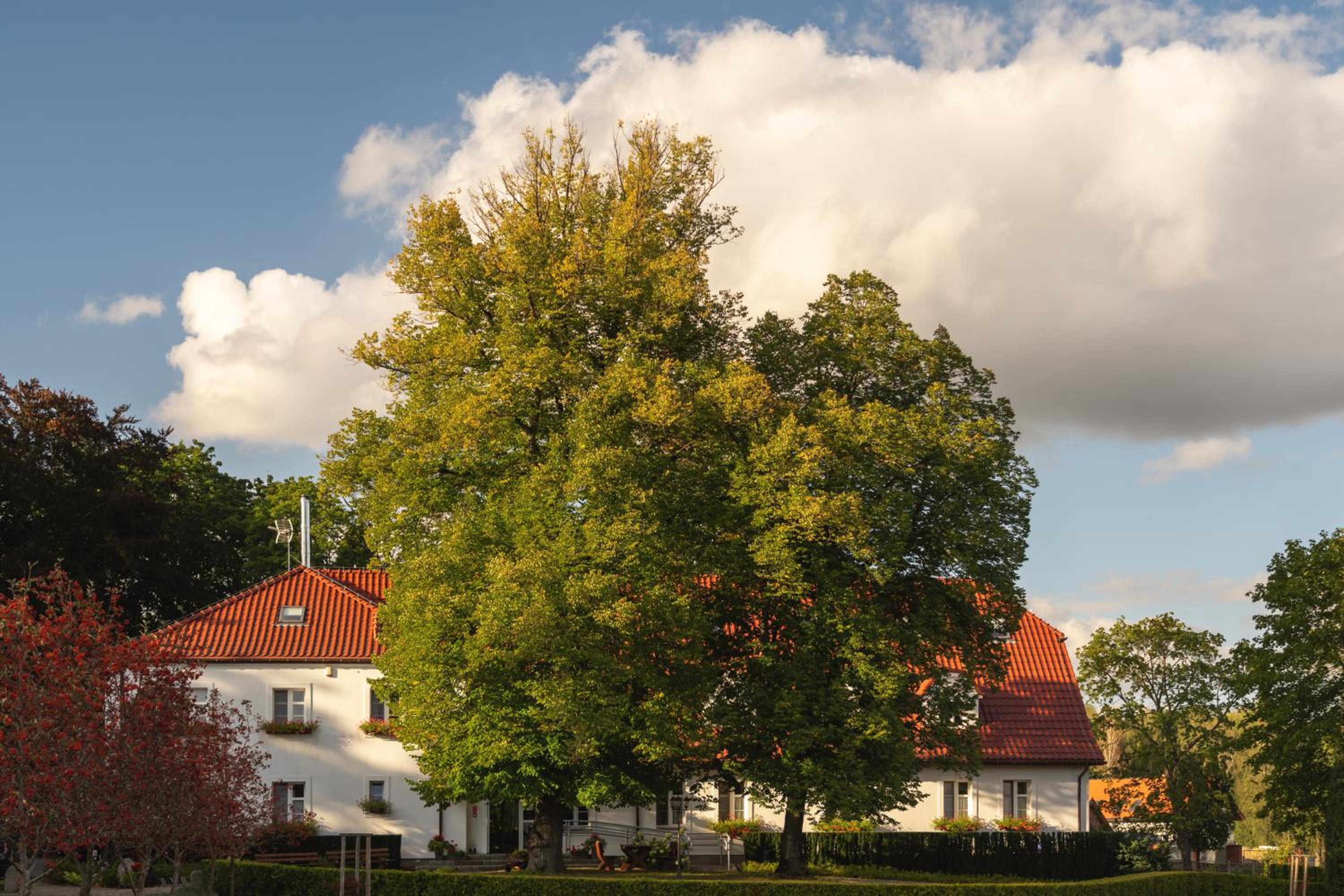 Stary Młyn Strzeszyn - Soft All Inclusive
