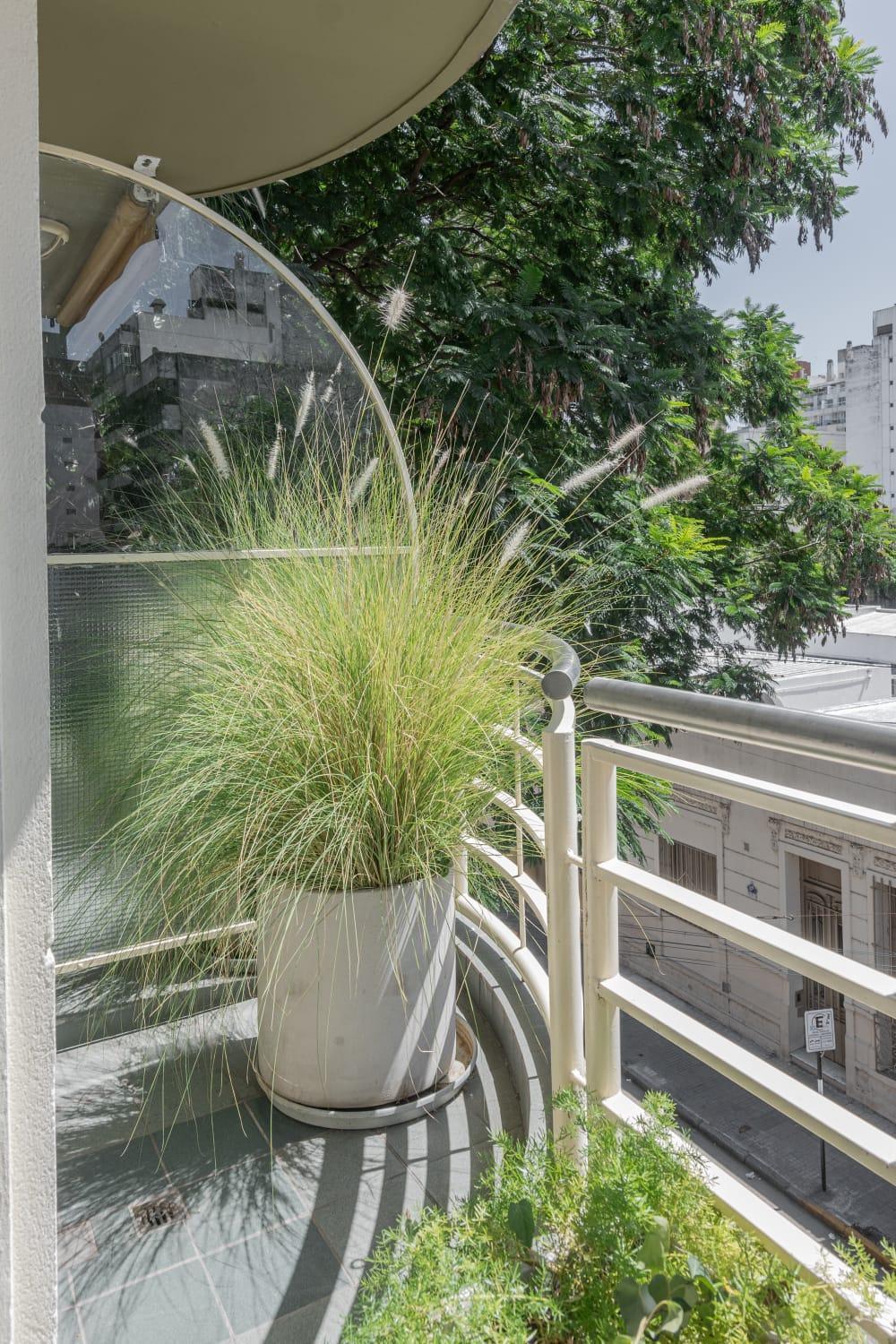 Dorrego Premium