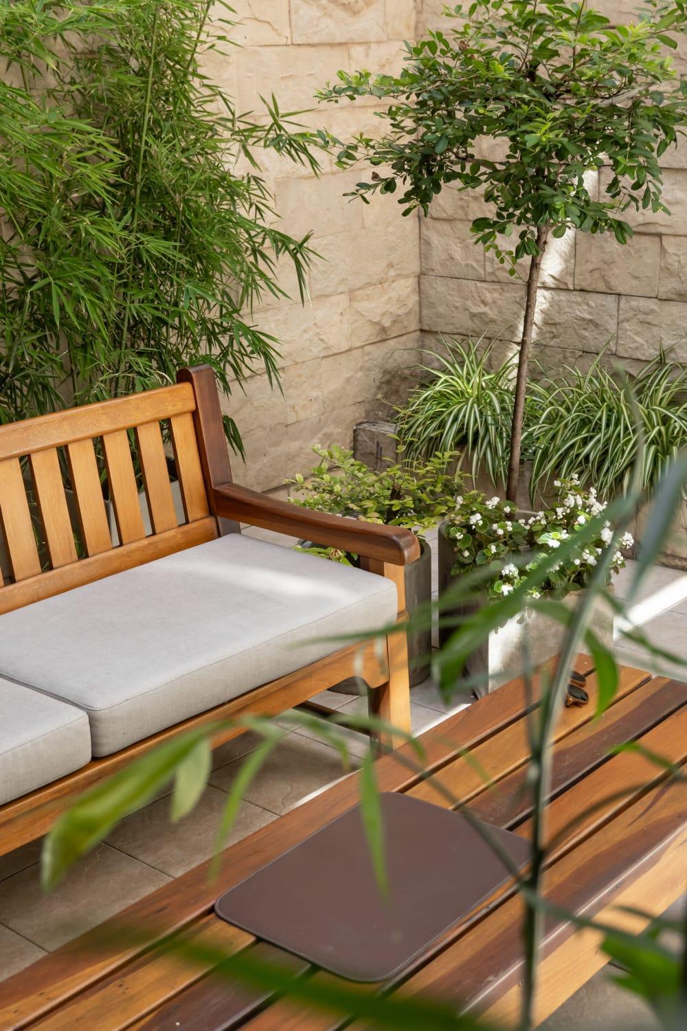 Dorrego Premium