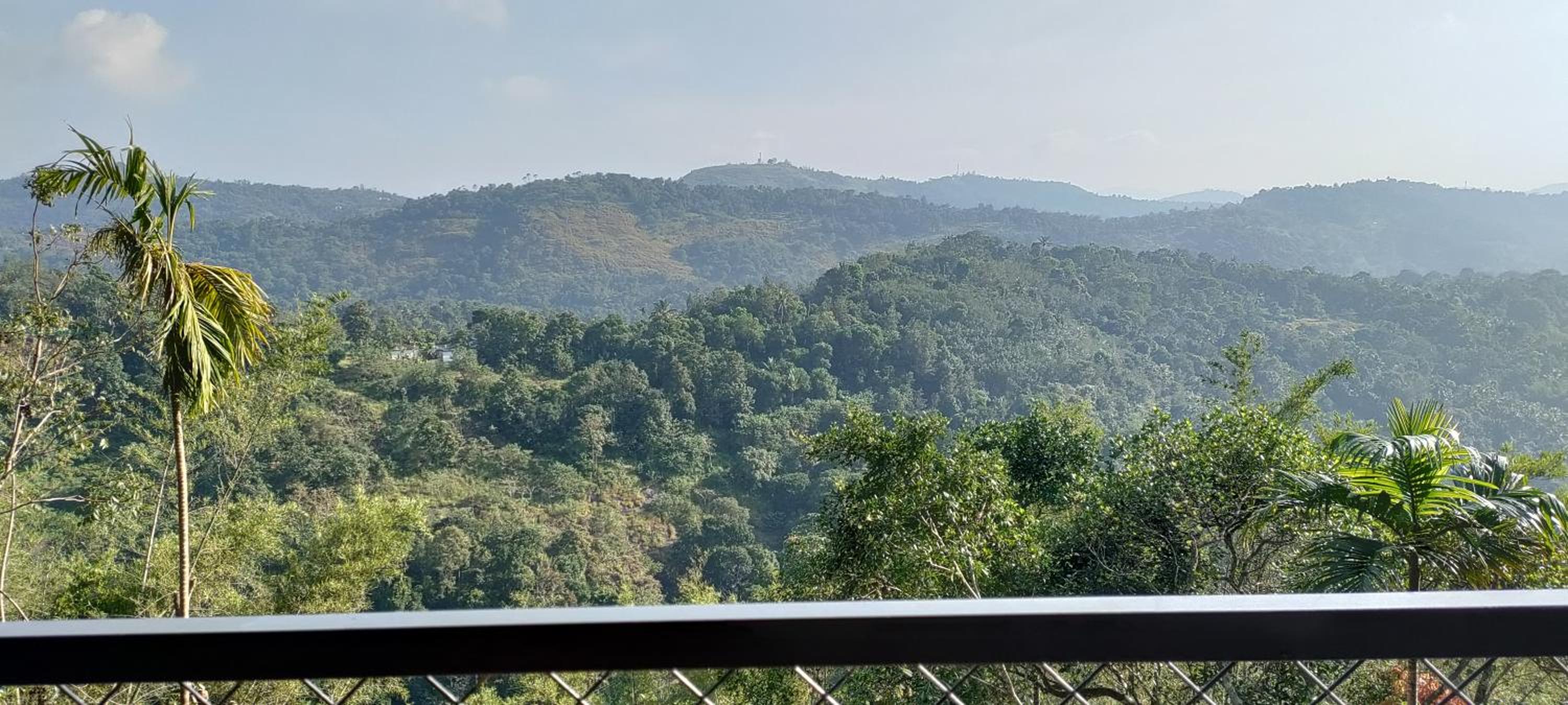 Coffee Camp Home Stay with Tree house