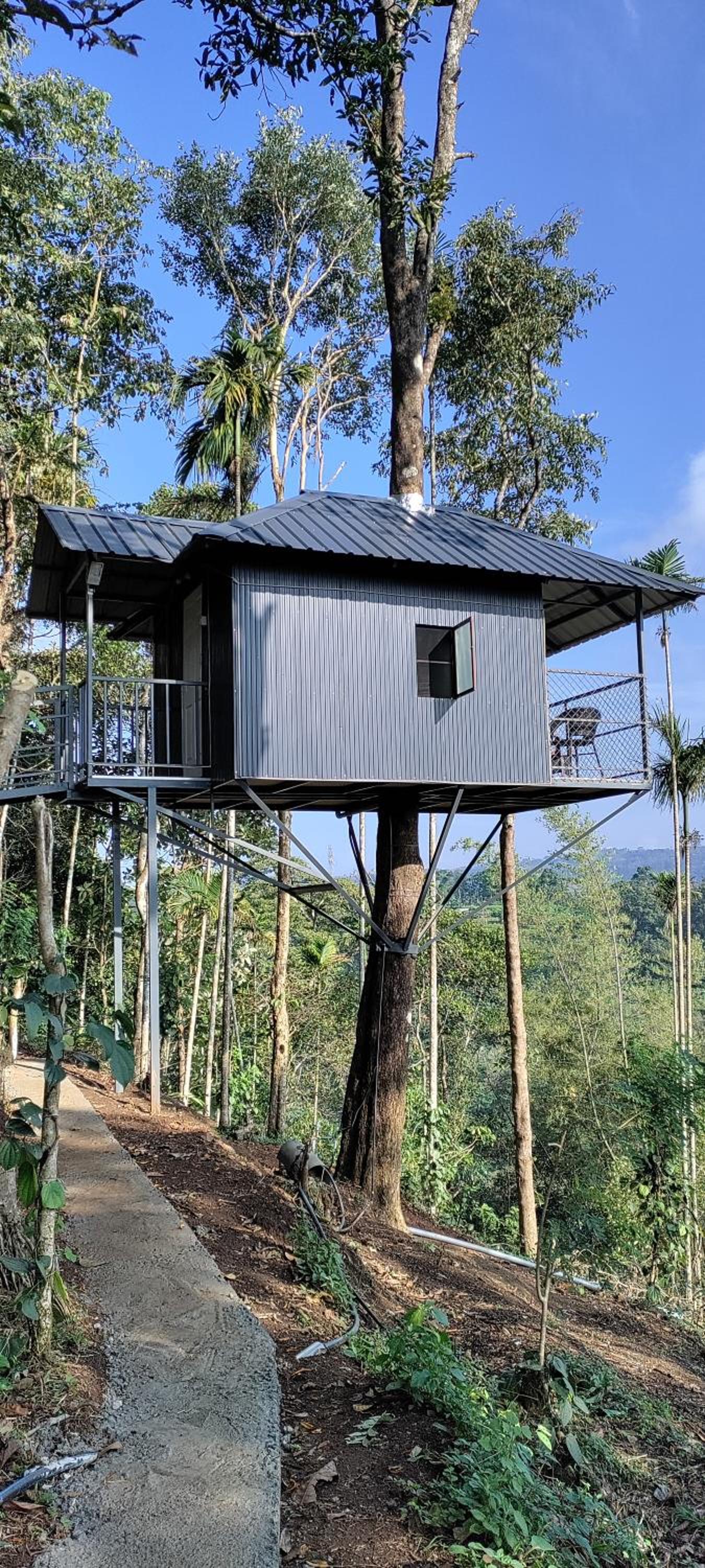 Coffee Camp Home Stay with Tree house
