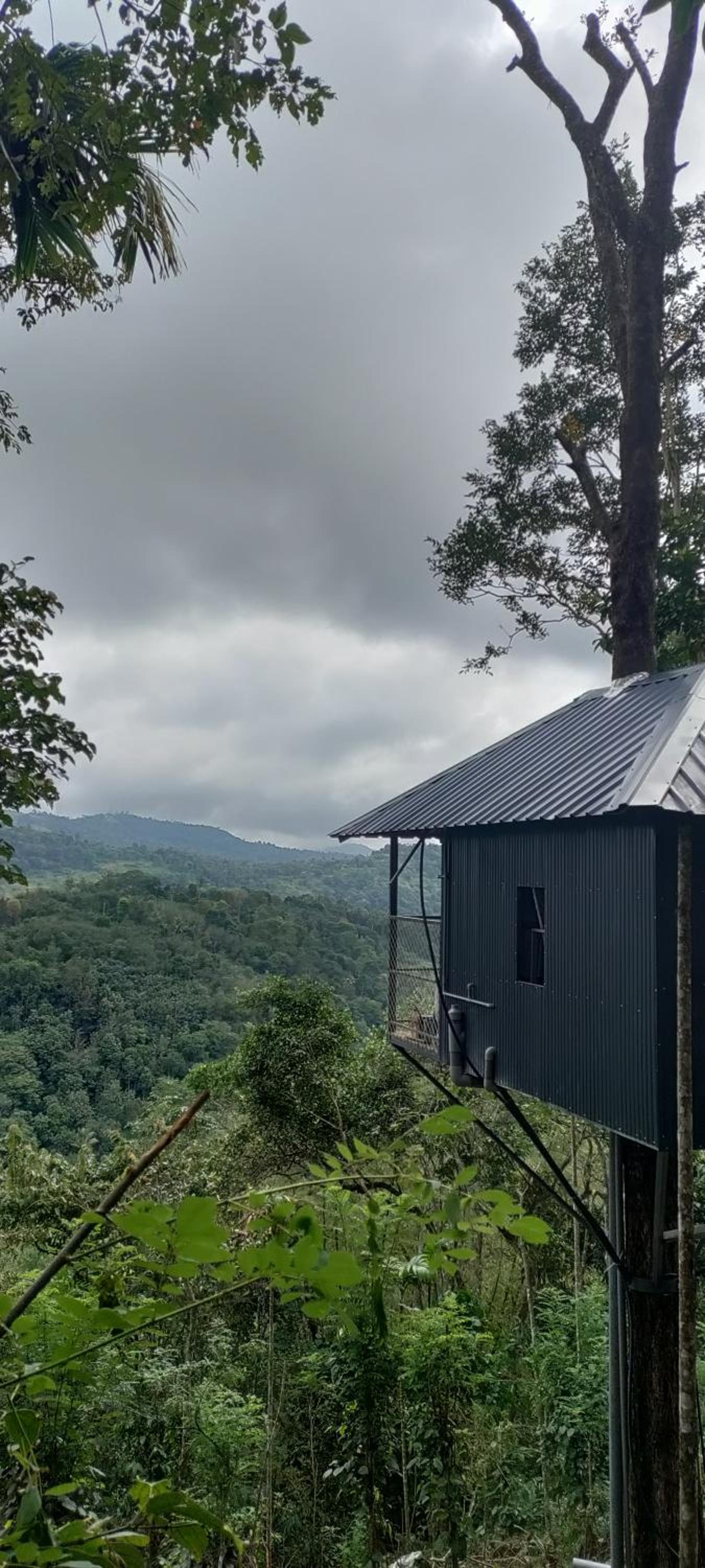 Coffee Camp Home Stay with Tree house