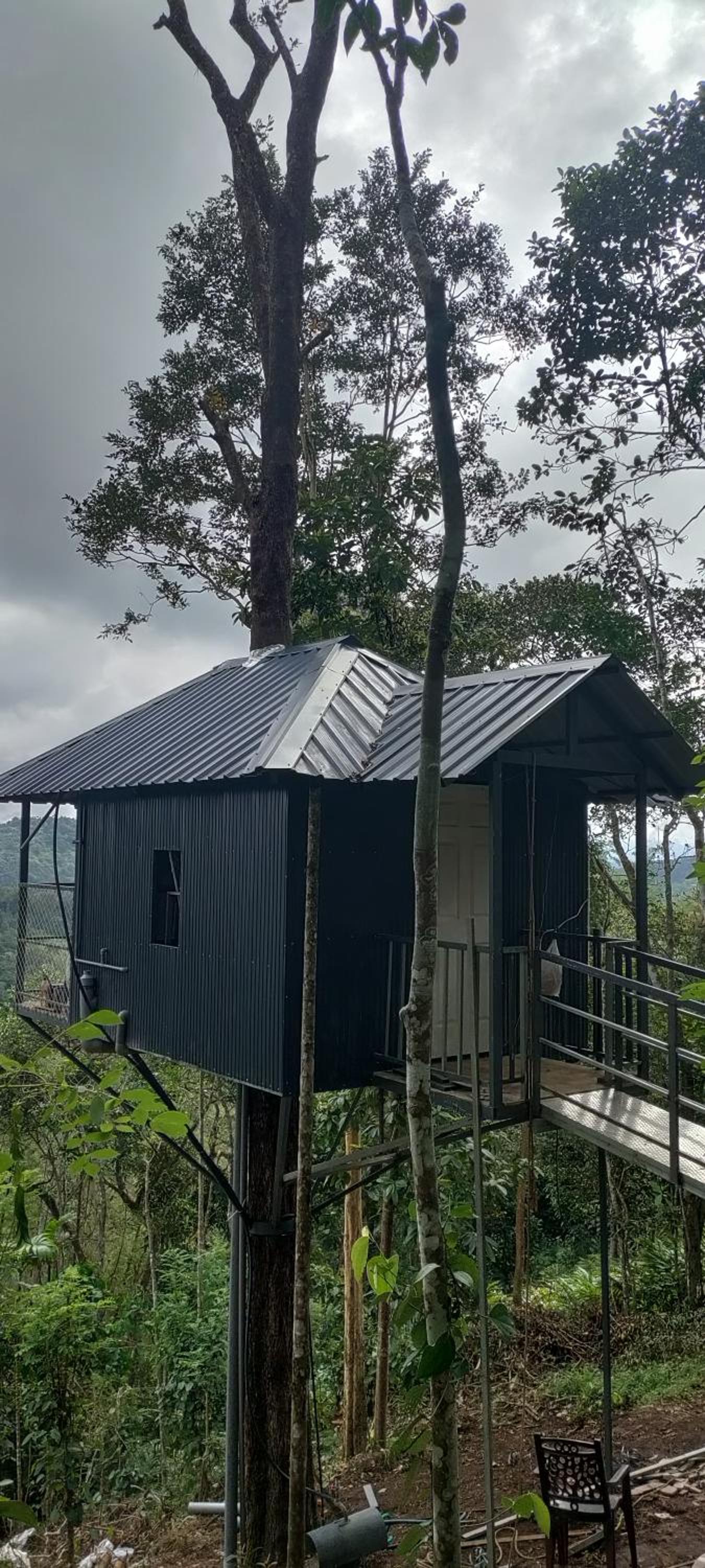 Coffee Camp Home Stay with Tree house