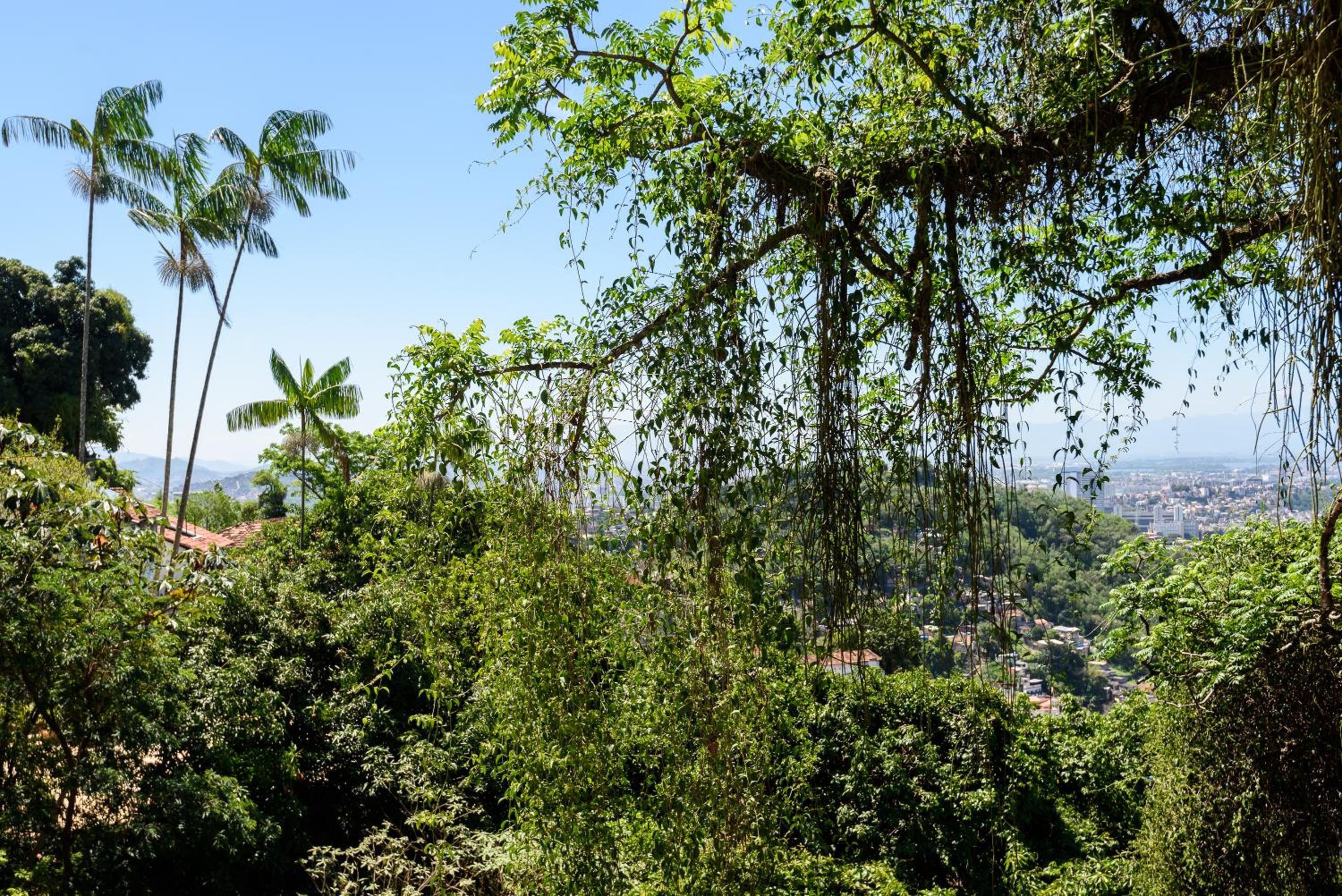 Casa Verde