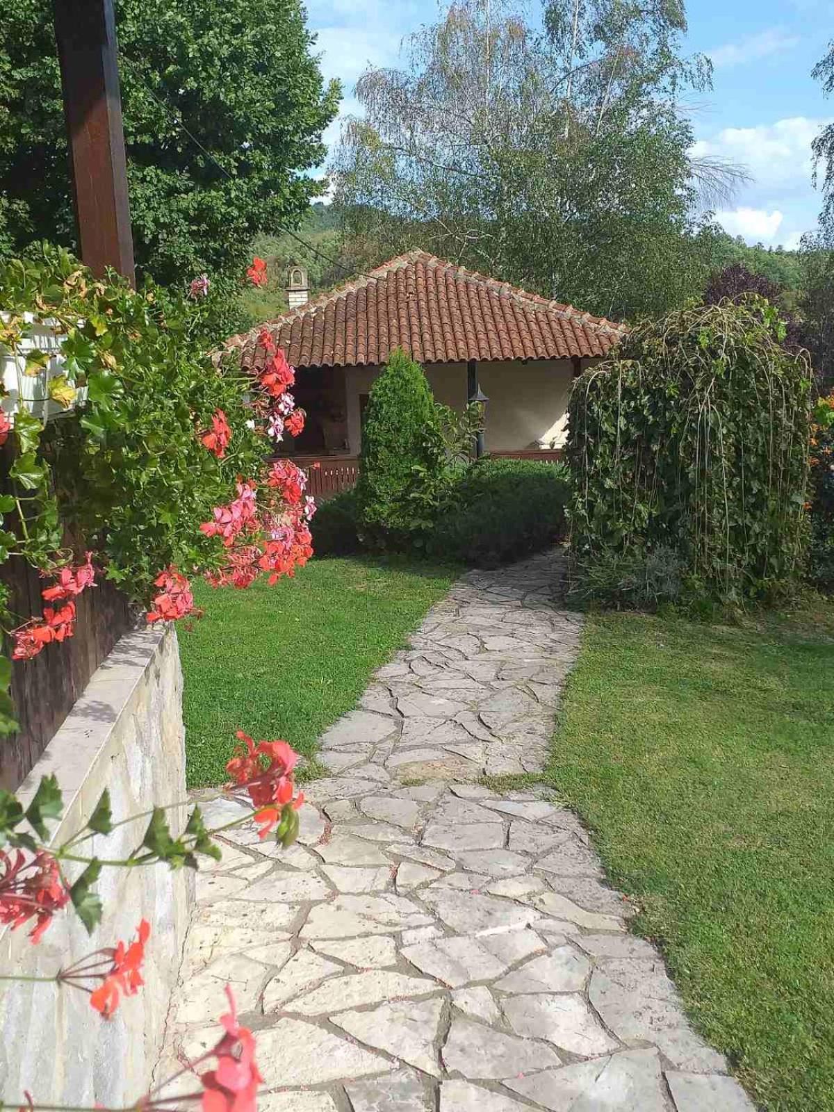 Photo 25