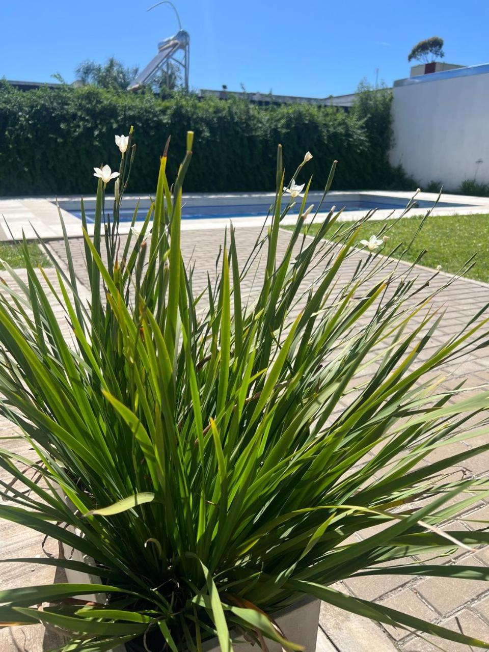 Duplex con pileta