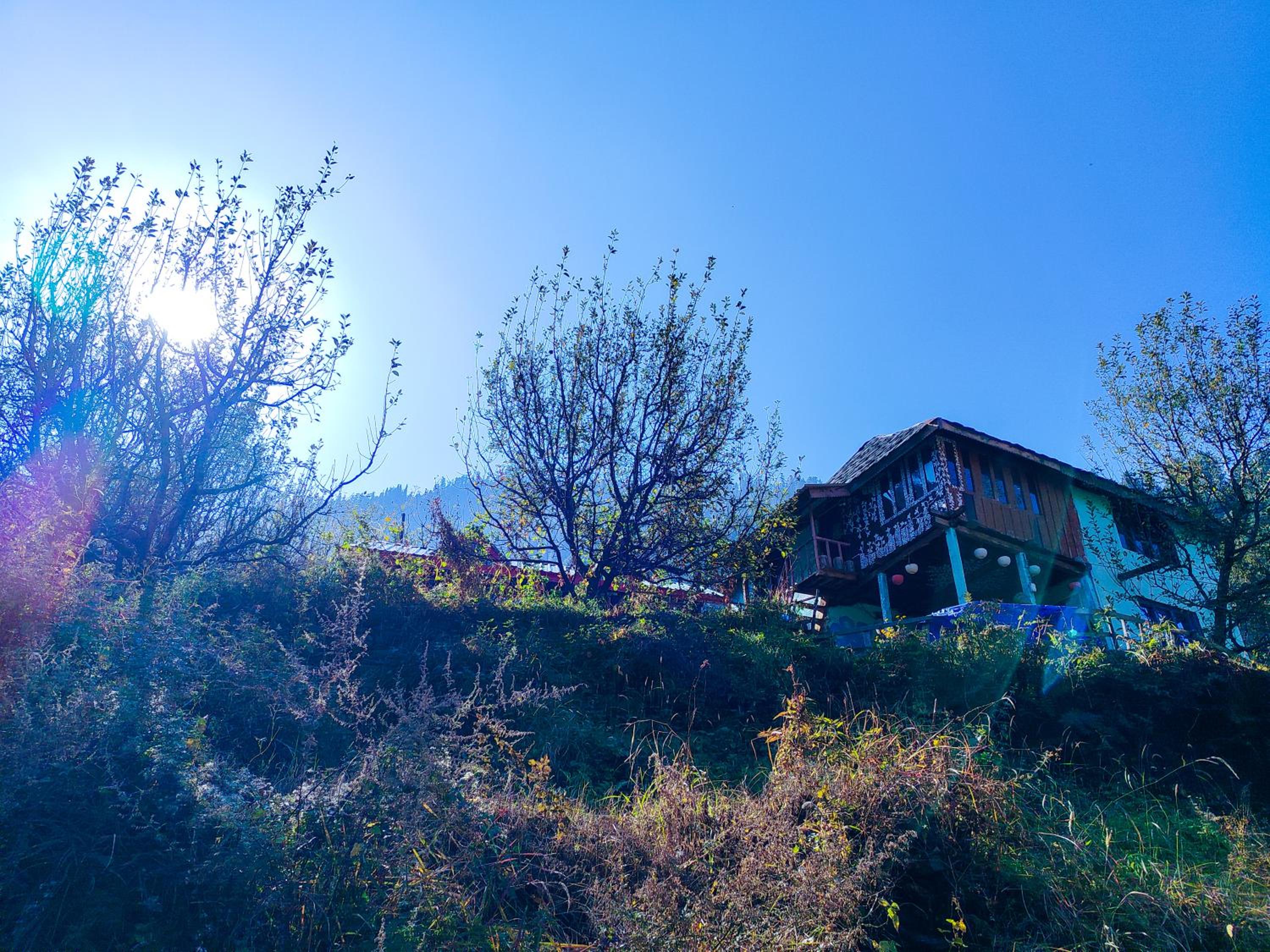 Shivadelic Duniya